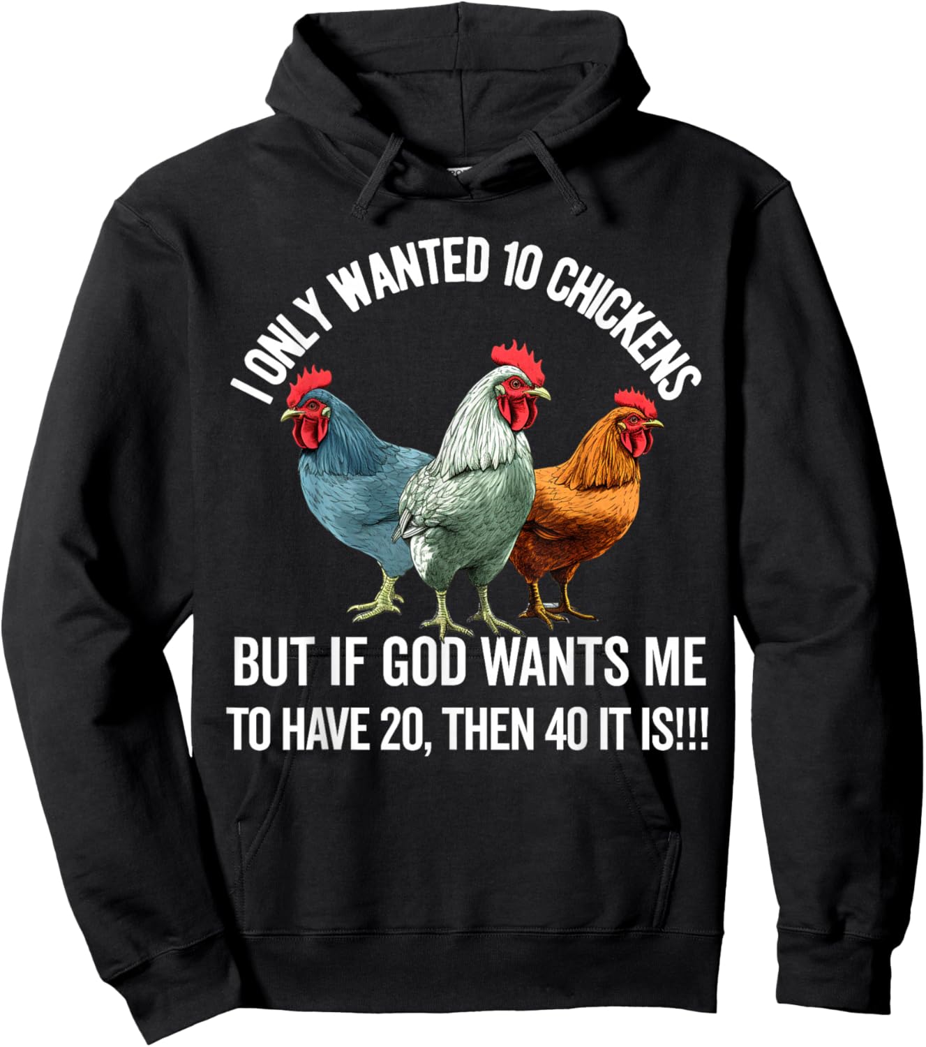 I Only Wanted 10 Chickens But if God Wants Me to Have 20 Hoodie - Hoodie | Black