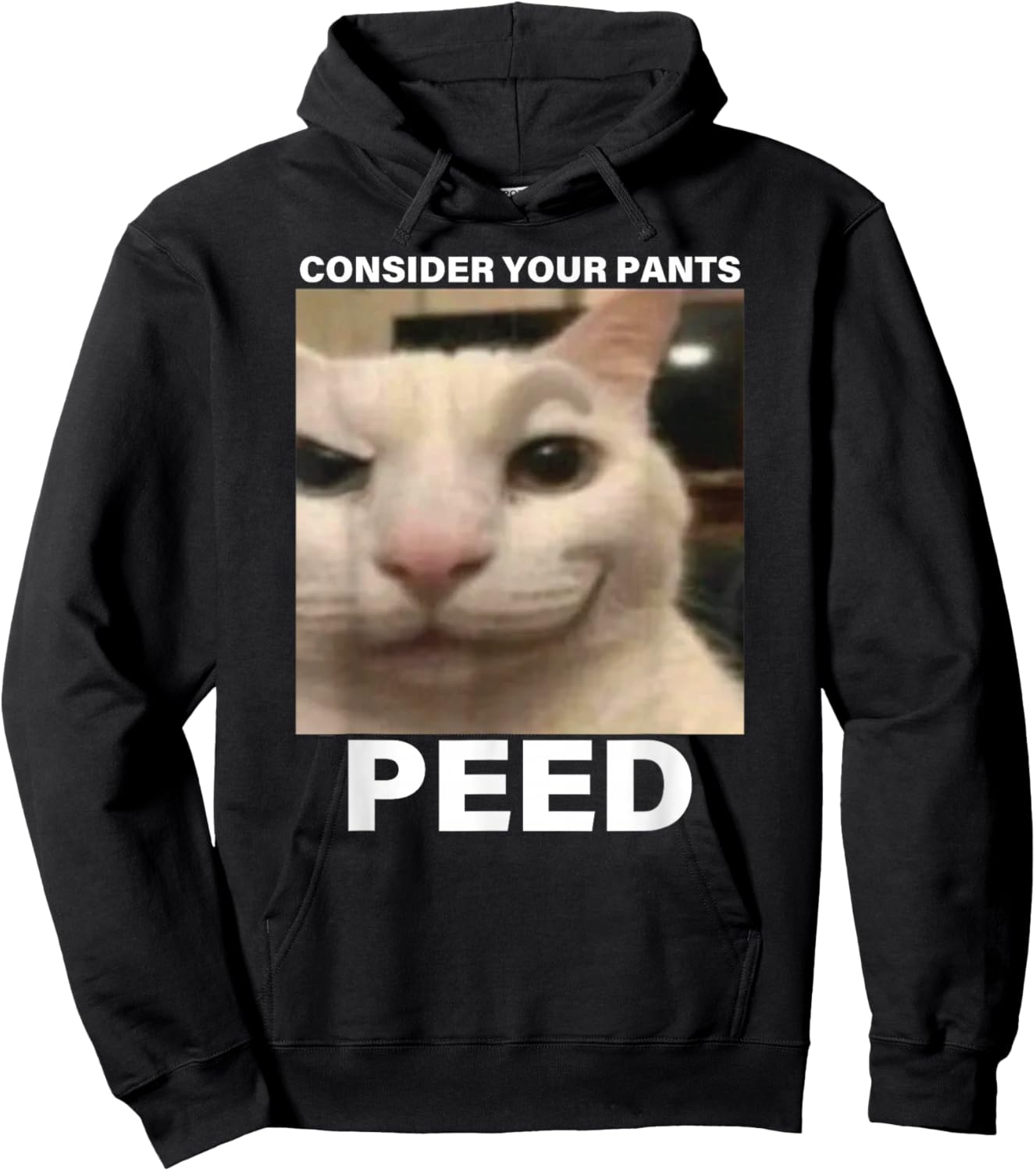 Consider Your Pants Peed Funny Cat Meme Hoodie - Hoodie | Black