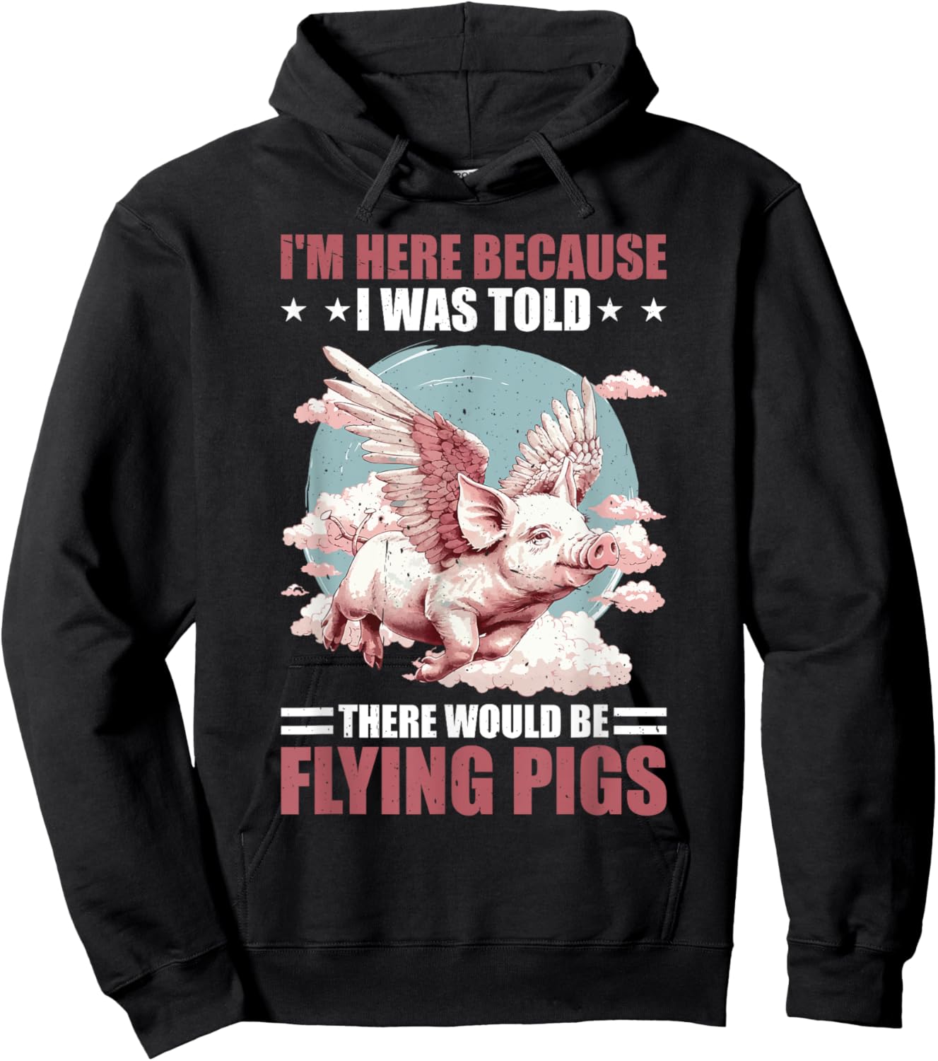 I'm Here Because I Was Told There Would Be Flying Pigs _ Hoodie - Hoodie | Black