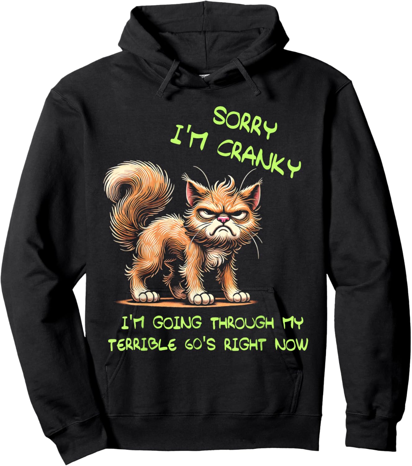 Cat Sorry I'm Cranky I'm Going Through My Terrible 60's Hoodie - Hoodie | Black