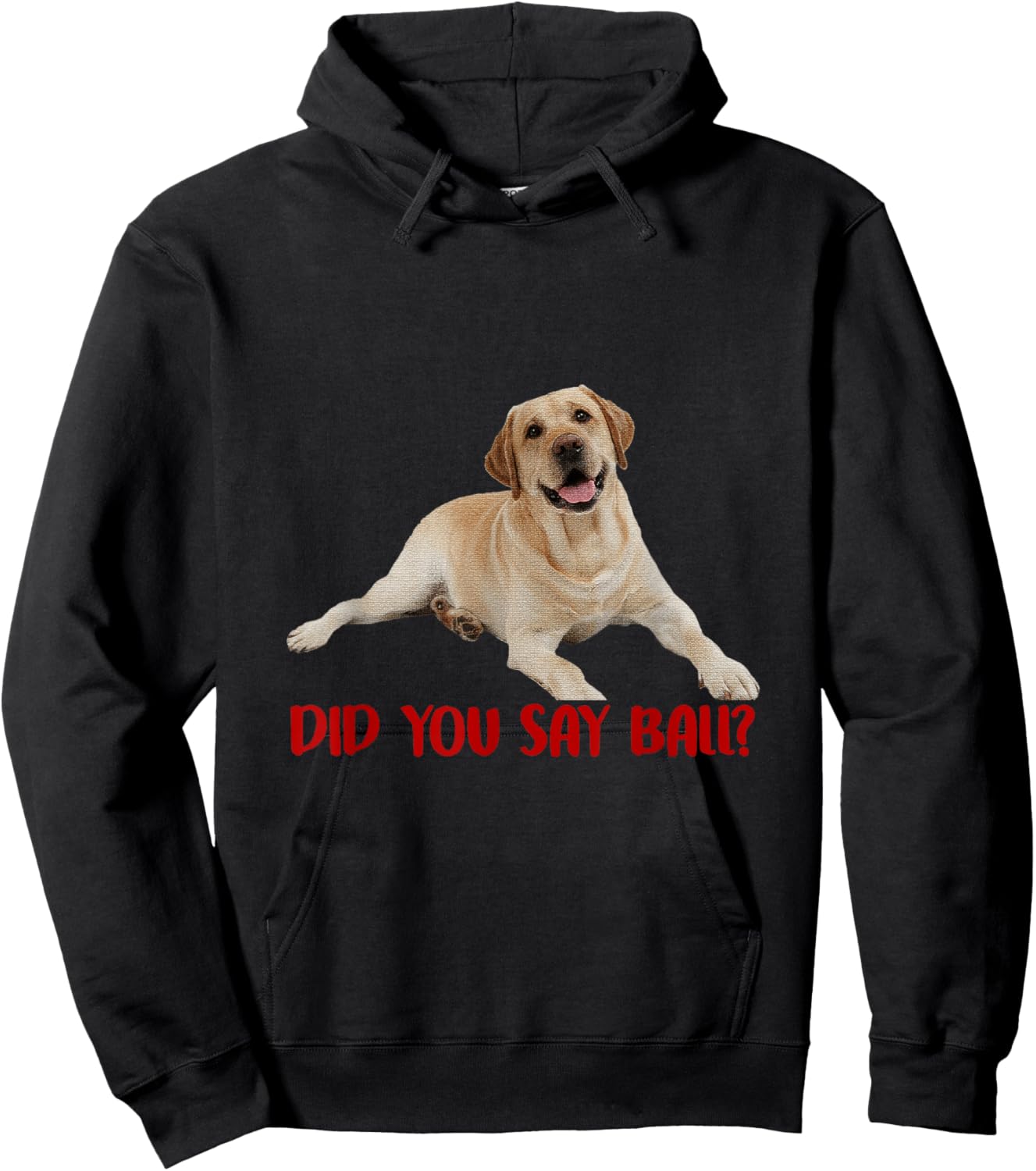 Yellow Lab Did You Say Ball Labrador Lover Dog Pet Owner Hoodie - Hoodie | Black