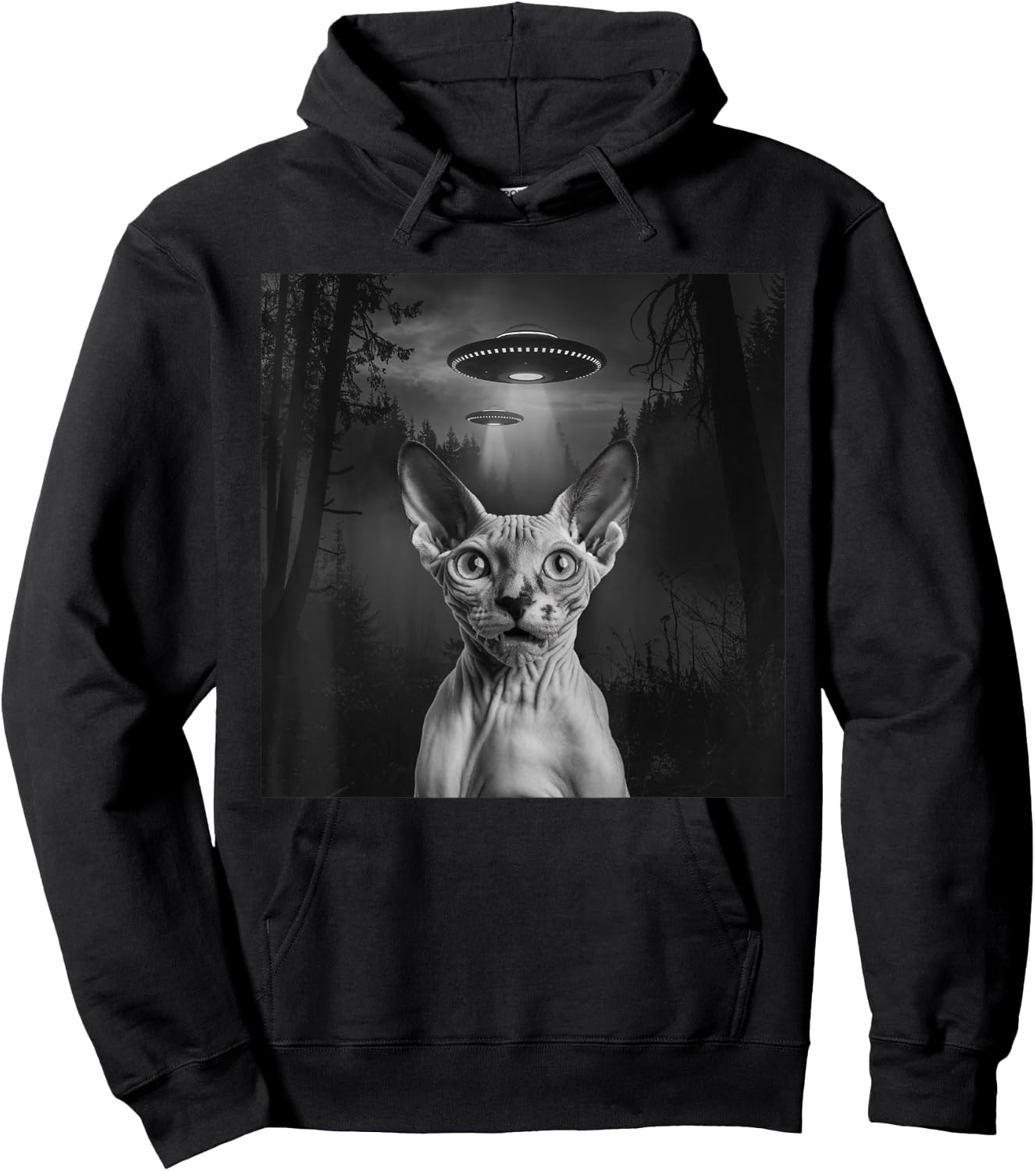 Sphynx Cat Selfie With Alien UFO Funny Cat Outfit Hoodie - Hoodie | Black