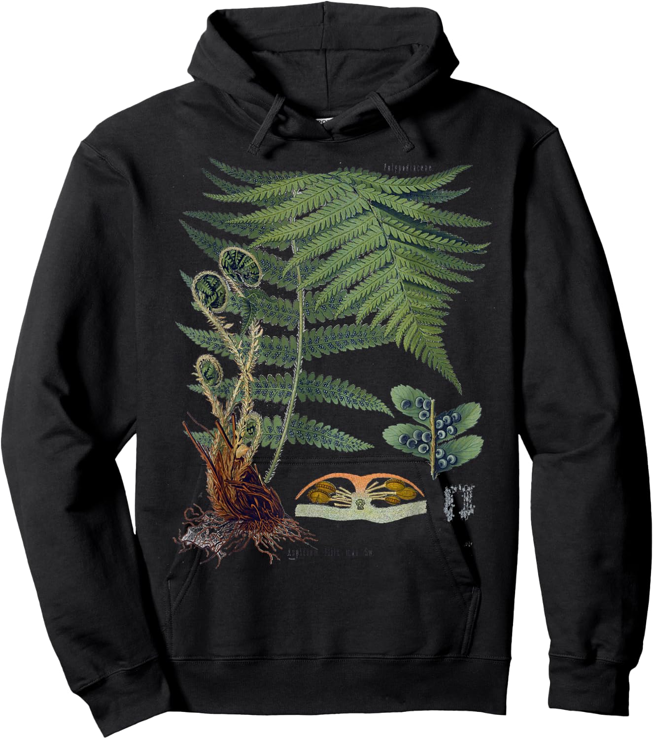 Fern Botanical Plants Botany Hoodie - Hoodie | Black