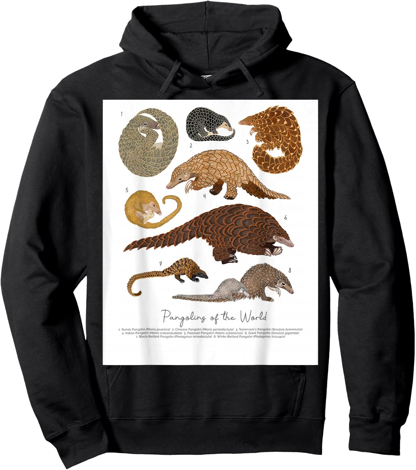 Pangolins of the World, Loves Pangolins Gifts Hoodie - Hoodie | Black
