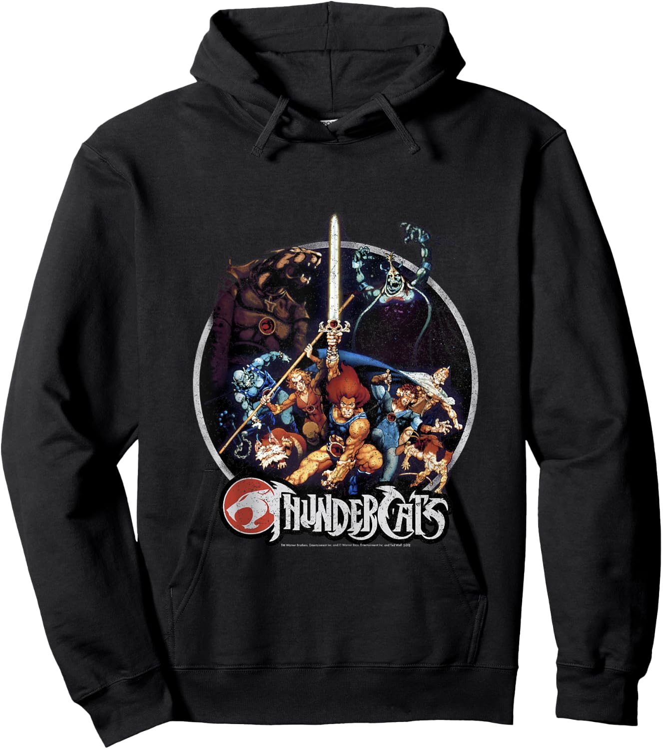 Thundercats Group Shot Vintage Circle Small Hoodie - Hoodie | Black