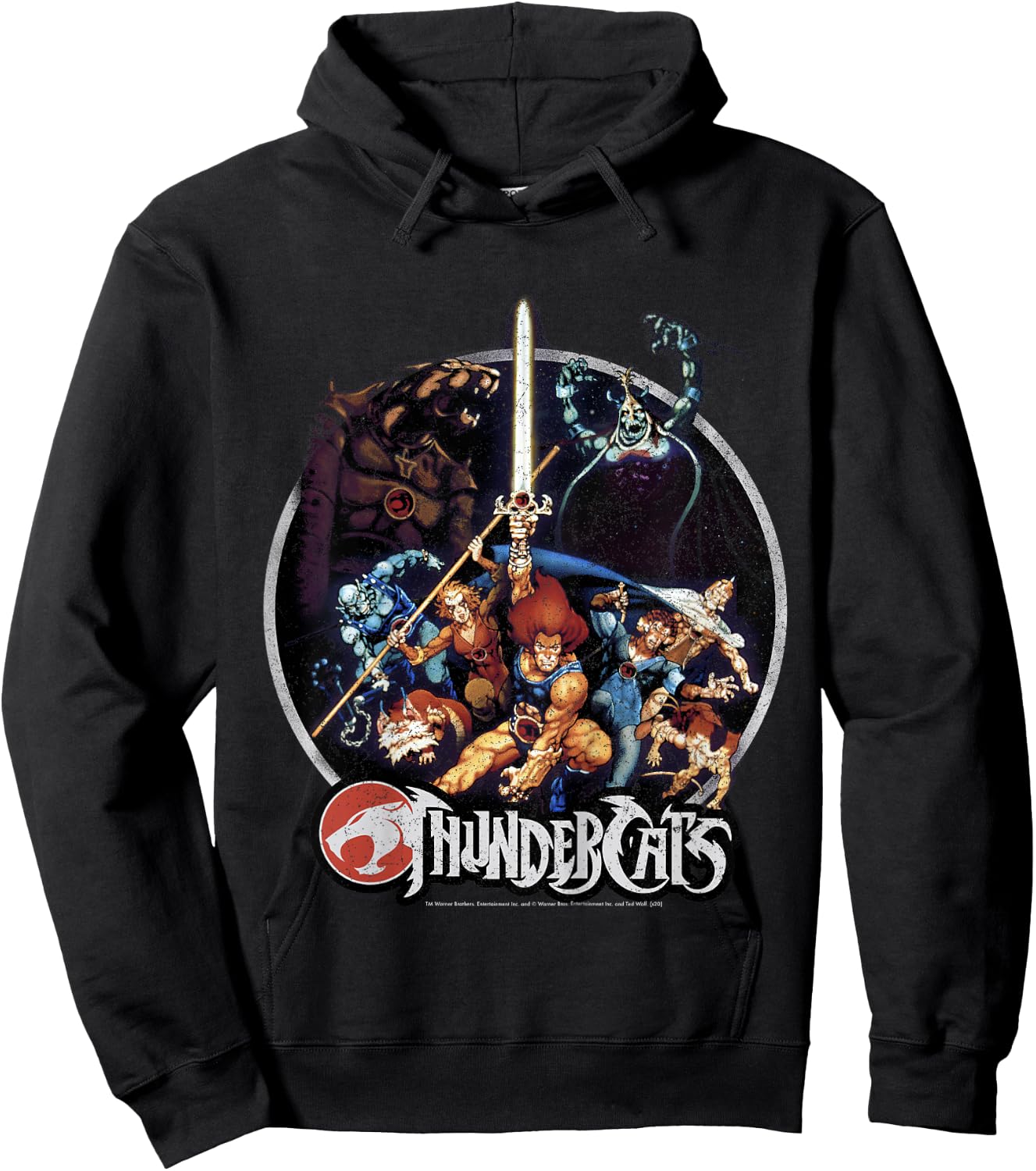 Kids Thundercats Group Shot Vintage Circle Hoodie - Hoodie | Black