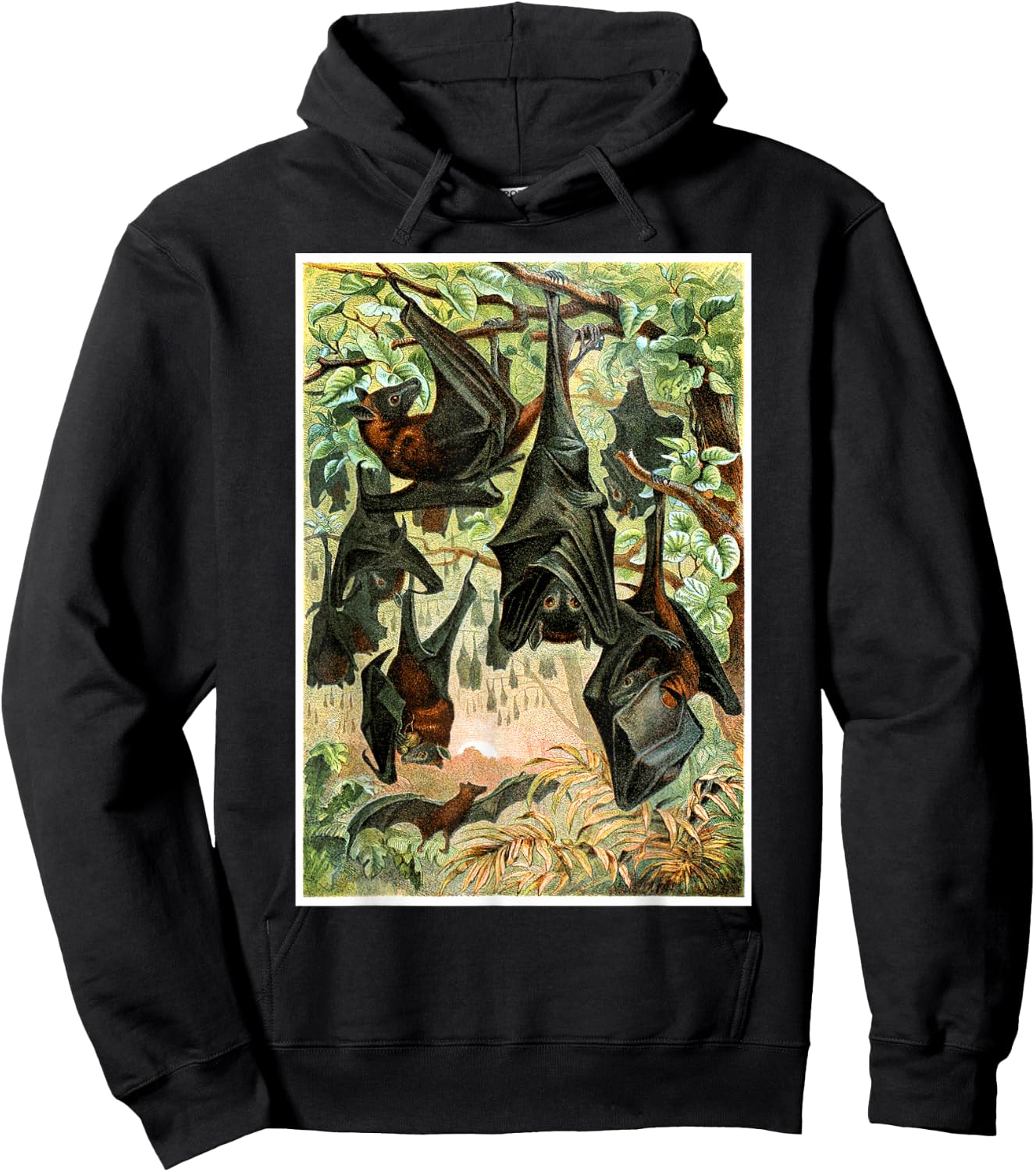 Flying Foxes Bats Hanging Bat Vintage Animal Illustration Hoodie - Hoodie | Black