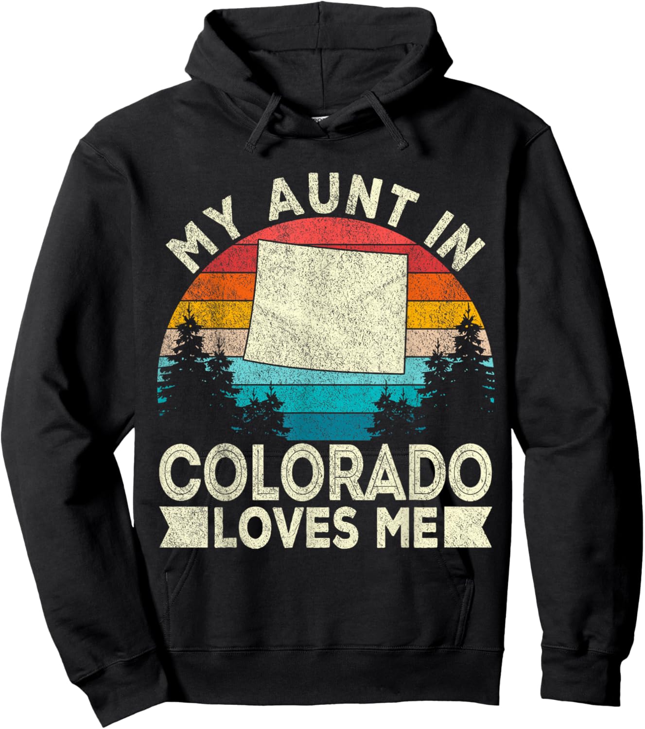 My Aunt In Colorado Loves Me Colorado Aunt RetroColorado Hoodie - Hoodie | Black