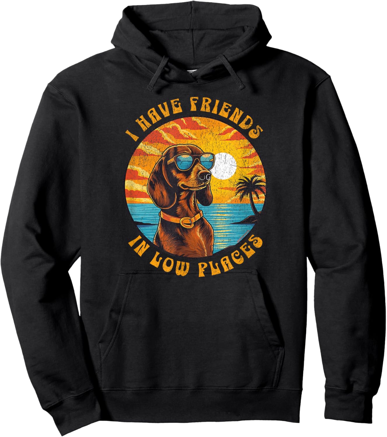 Funny Dachshund Humour I Have Friends In Low Places Hoodie - Hoodie | Black