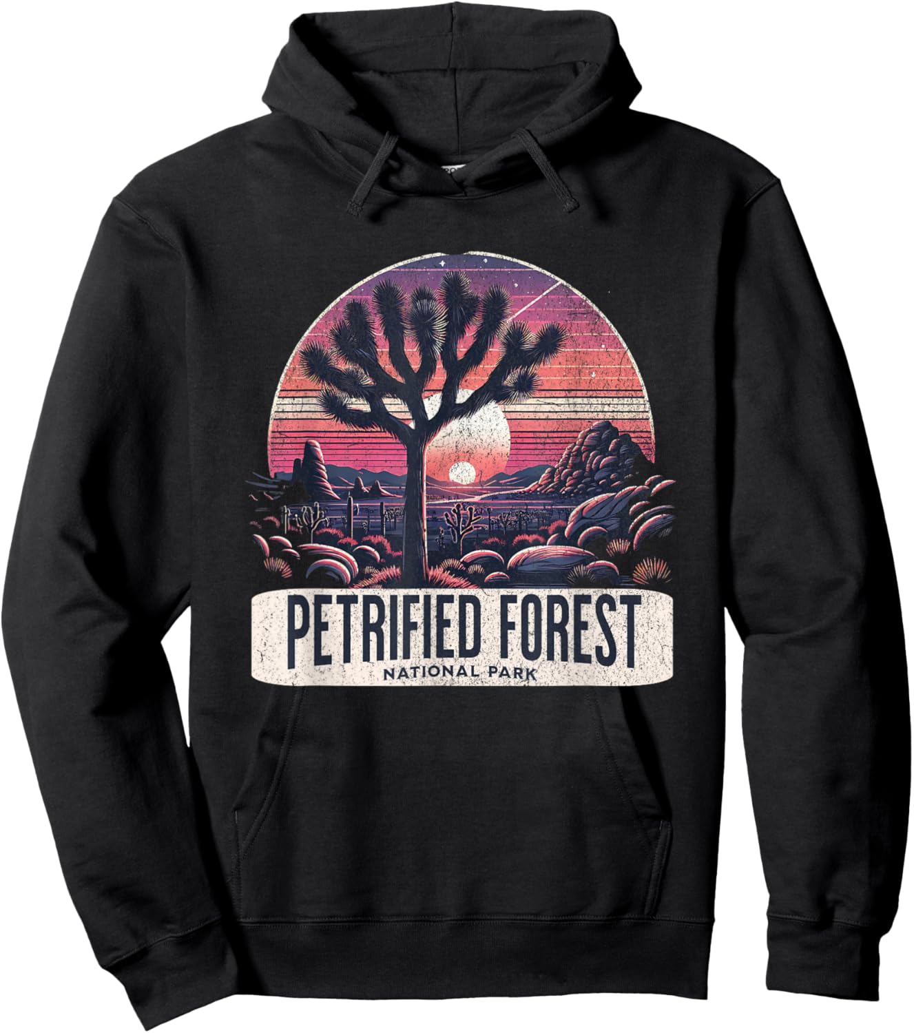 Petrified Forest National Park Hoodie - Hoodie | Black