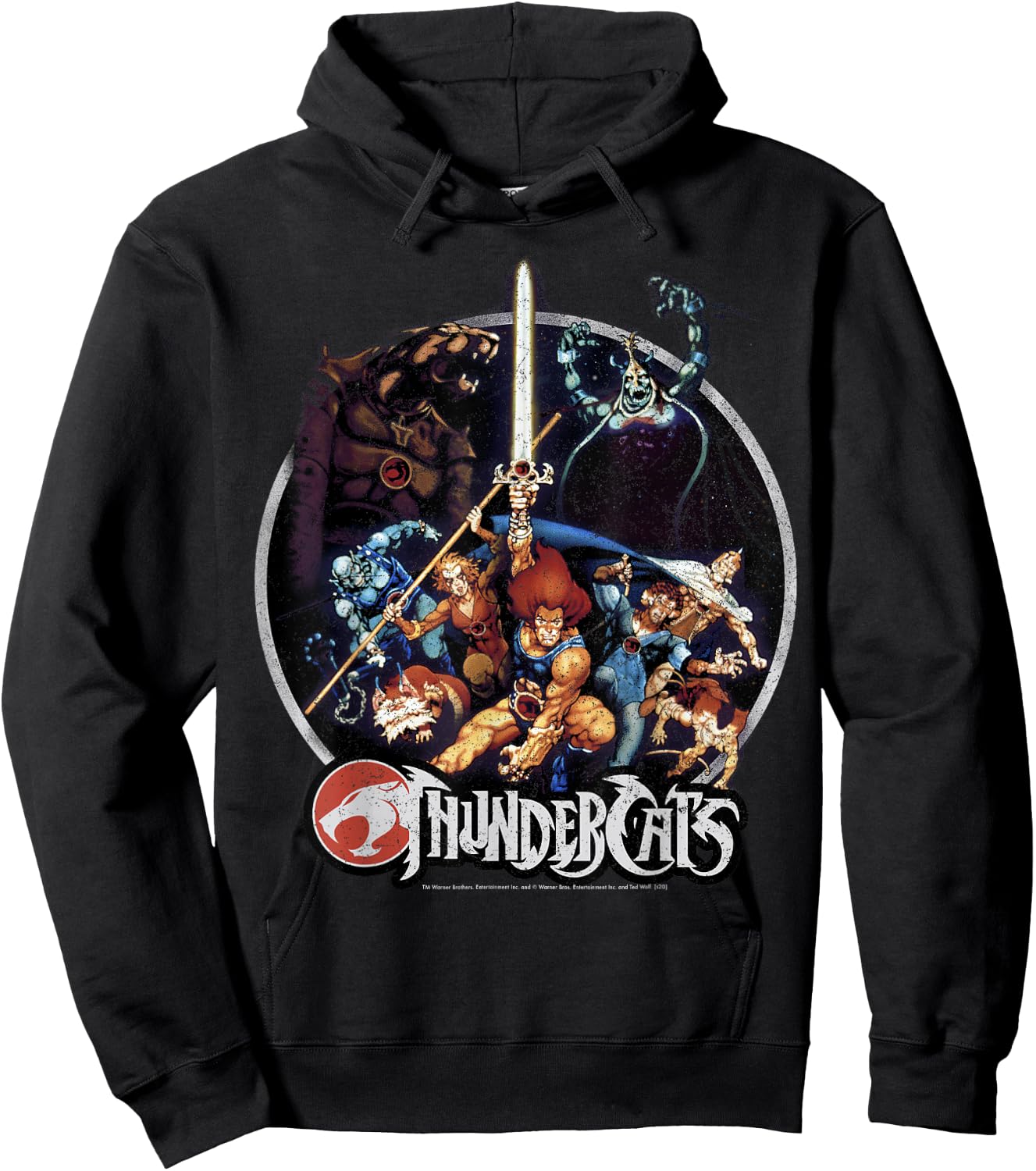 Thundercats Group Shot Vintage Circle Small Hoodie - Hoodie | Black