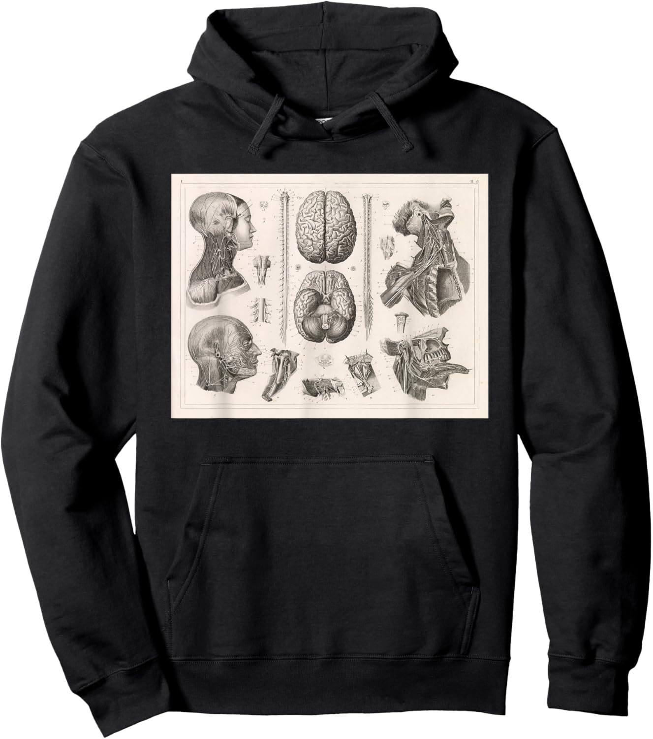 Brain, Spinal and Nervous System Medical Diagram Hoodie - Hoodie | Black