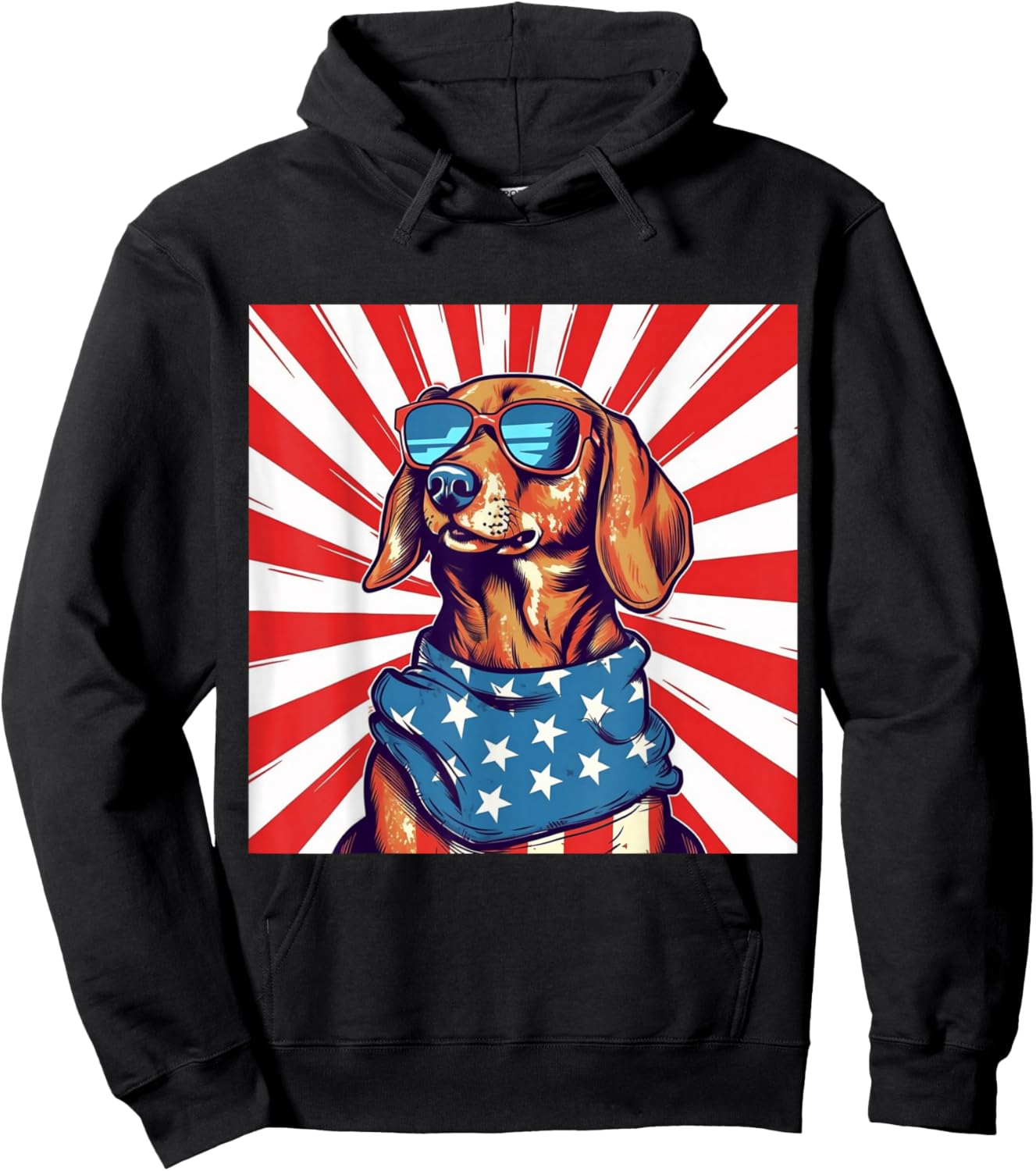4th of July Funny Dachsund Weiner Dog Weenie USA America Hoodie - Hoodie | Black