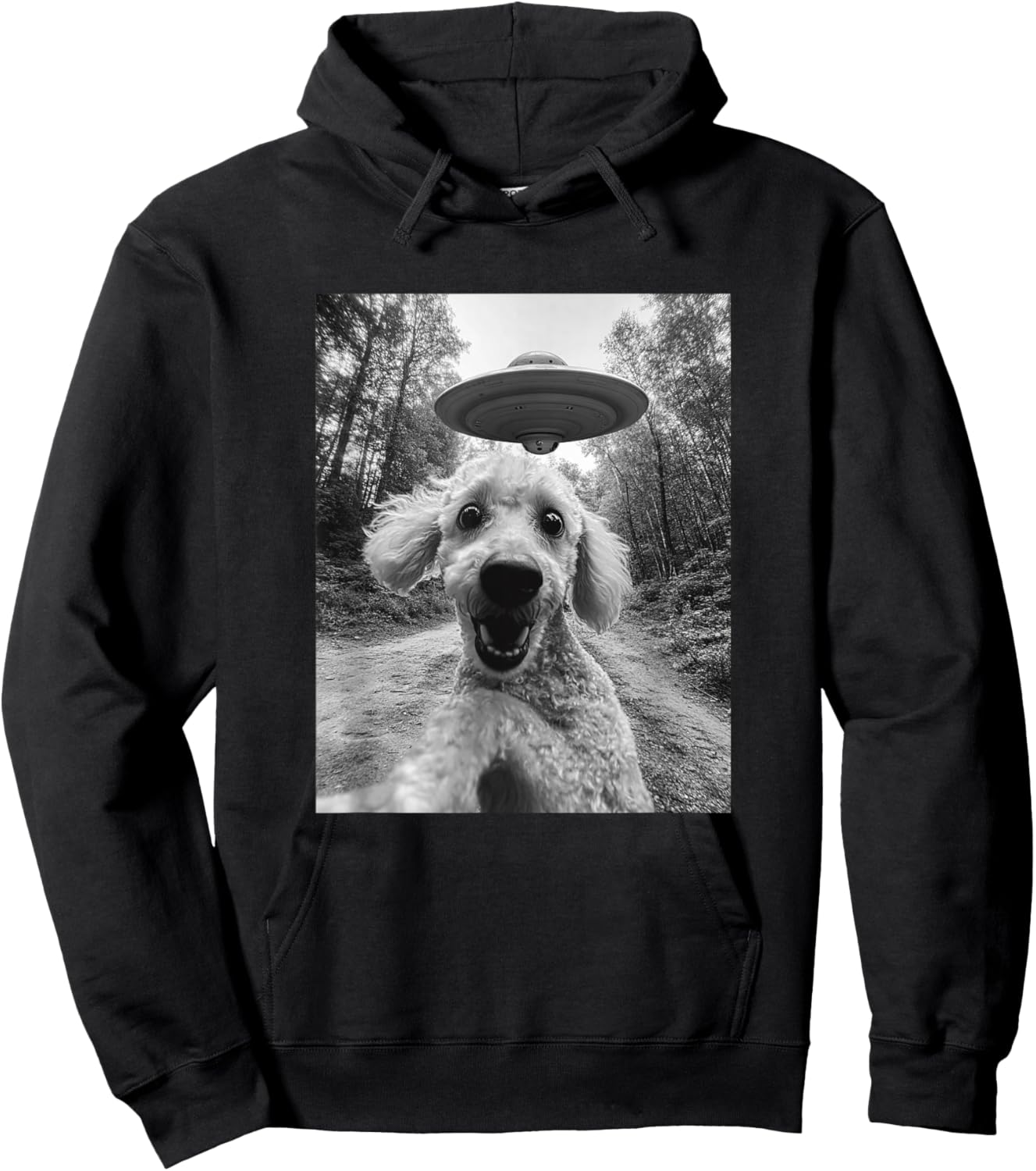 Poodle UFO Meme - Funny Poodle Selfie with UFO Hoodie - Hoodie | Black