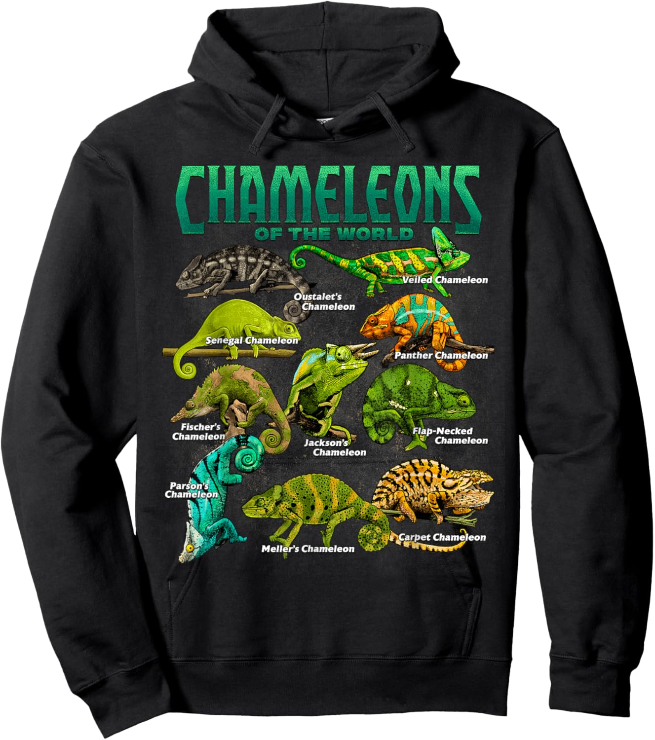 Chameleons of The World Educational Reptile Lizard Lover Hoodie - Hoodie | Black