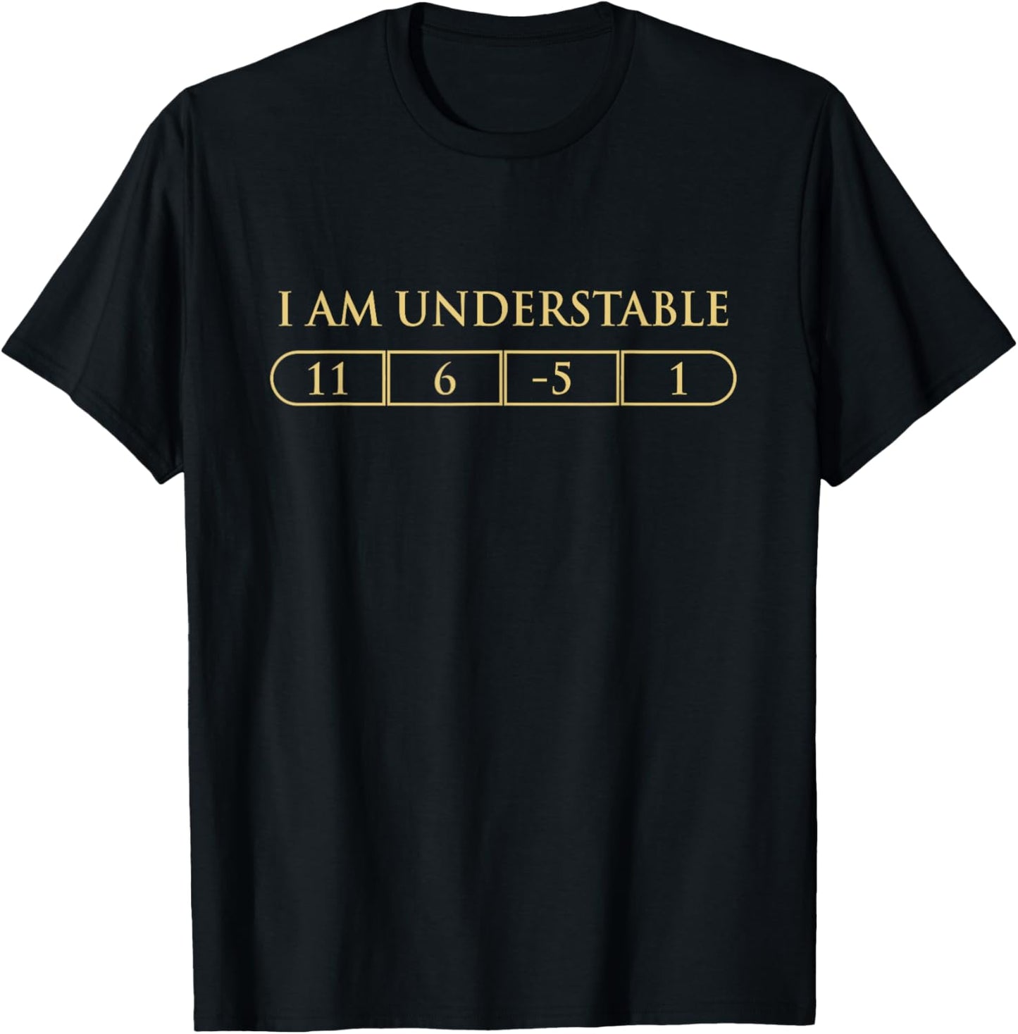 I Am Understable Disc Golf Players Funny Quote T-Shirt - T-Shirt | Black