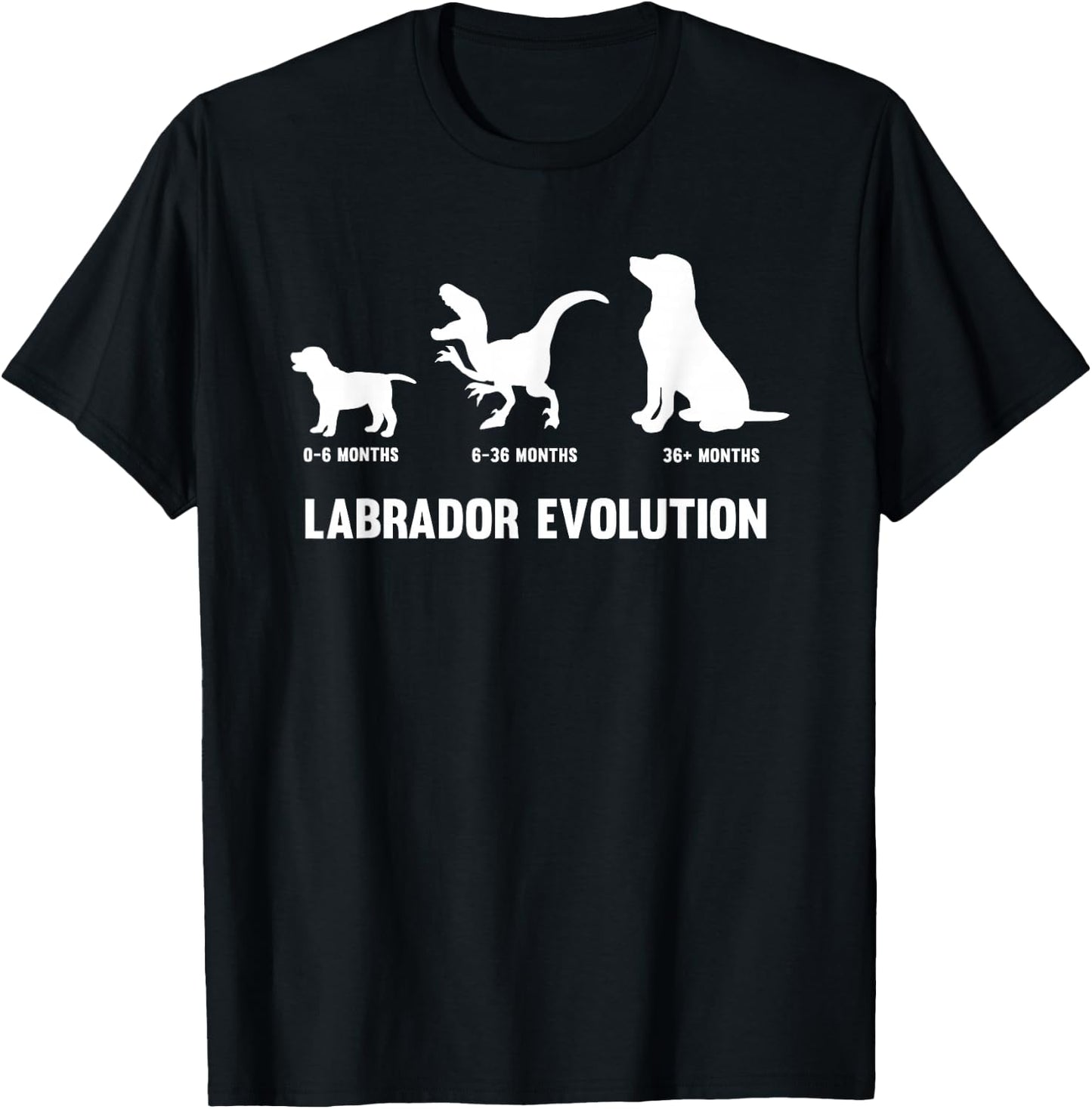 Labrador Retriever Evolution Design for a Labrador Owner Small T-Shirt - T-Shirt | Black
