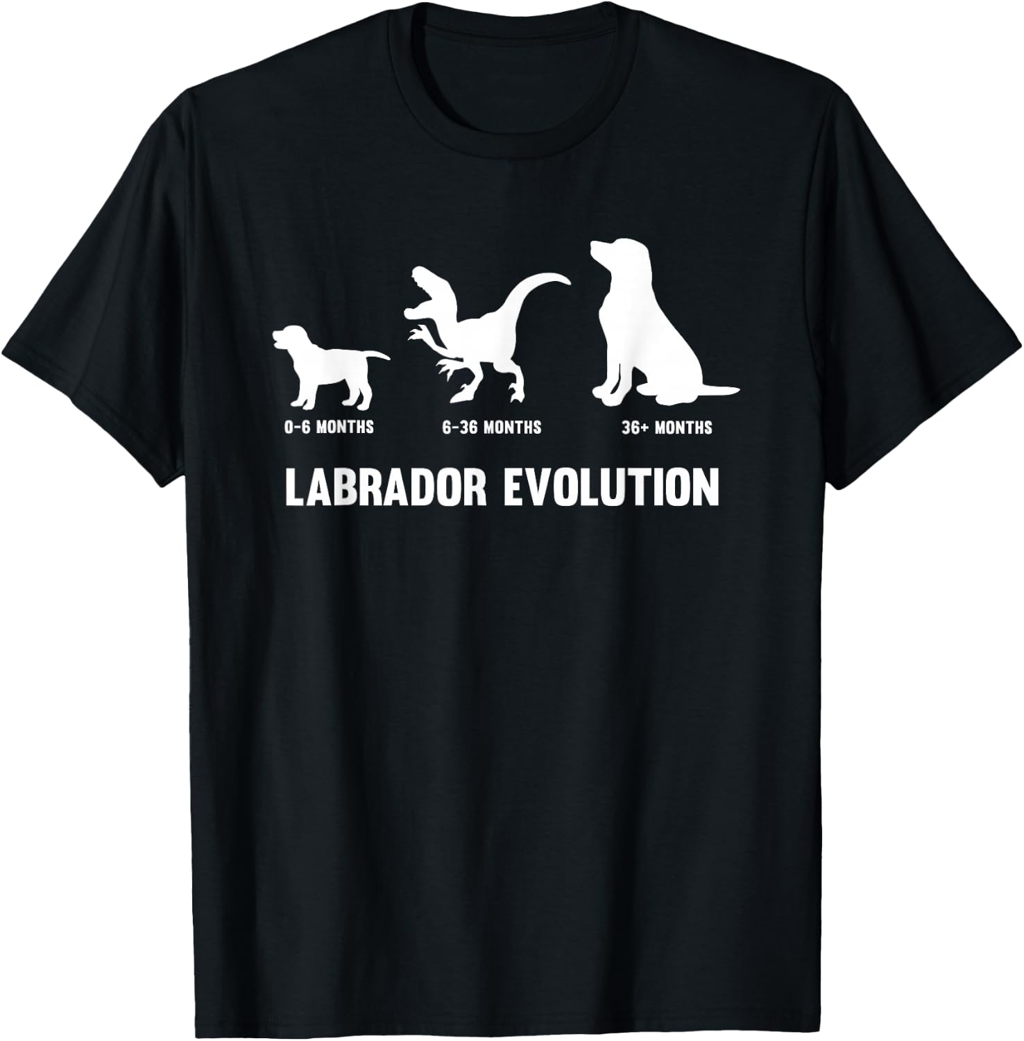 Labrador Retriever Evolution Design for a Labrador Owner Small T-Shirt - T-Shirt | Black