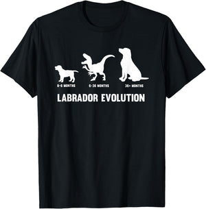 Labrador Retriever Evolution Design for a Labrador Owner Small T-Shirt - T-Shirt | Black