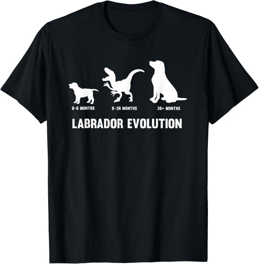 Labrador Retriever Evolution Design for a Labrador Owner Small T-Shirt - T-Shirt | Black