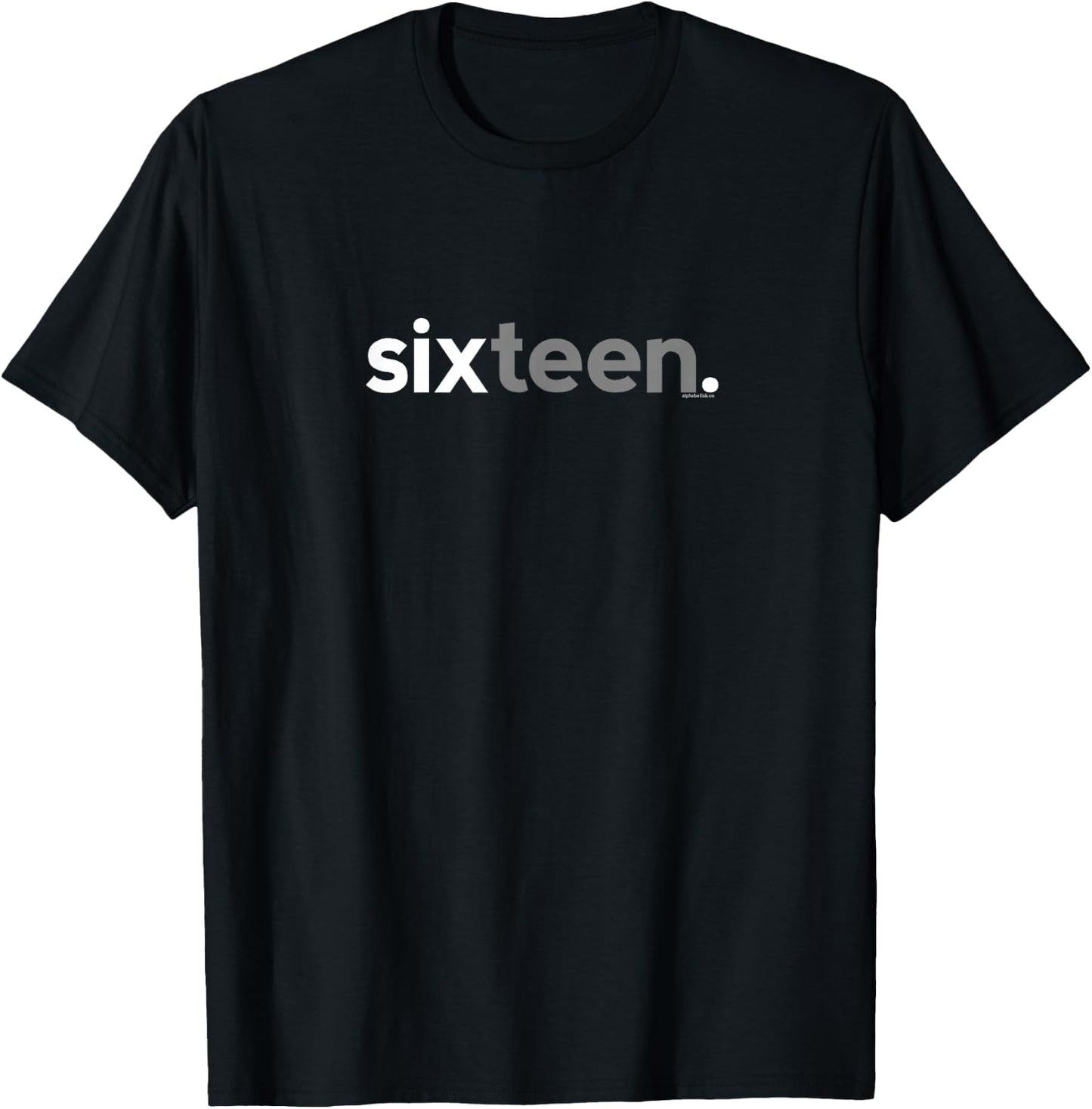 16th Birthday for Boys Sixteen Him Age 16 Year Party Teen T-Shirt - T-Shirt | Black