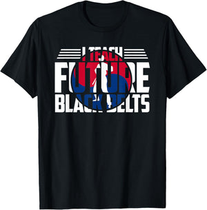 Taekwondo Instructor Gift Martial Arts Teacher Korean Flag T-Shirt - T-Shirt | Black