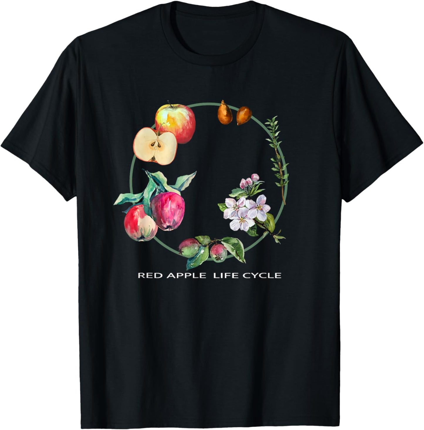 Red Apple Tree Life Cycle Process From Seeds to Fruits Art T-Shirt - T-Shirt | Black
