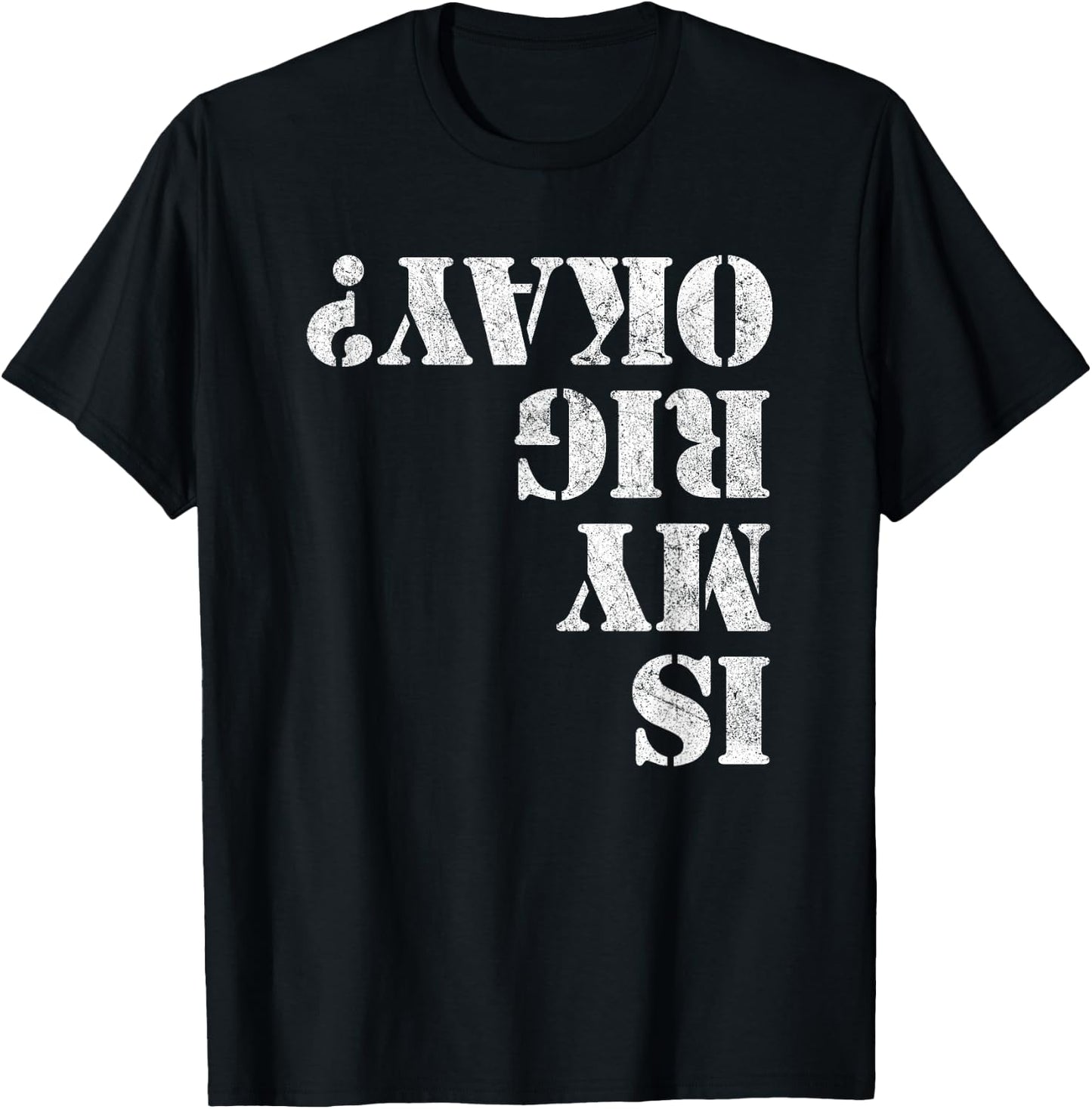 Is My Rig Okay? Funny Rock Crawling 4x4 Off Roading T-Shirt - T-Shirt | Black