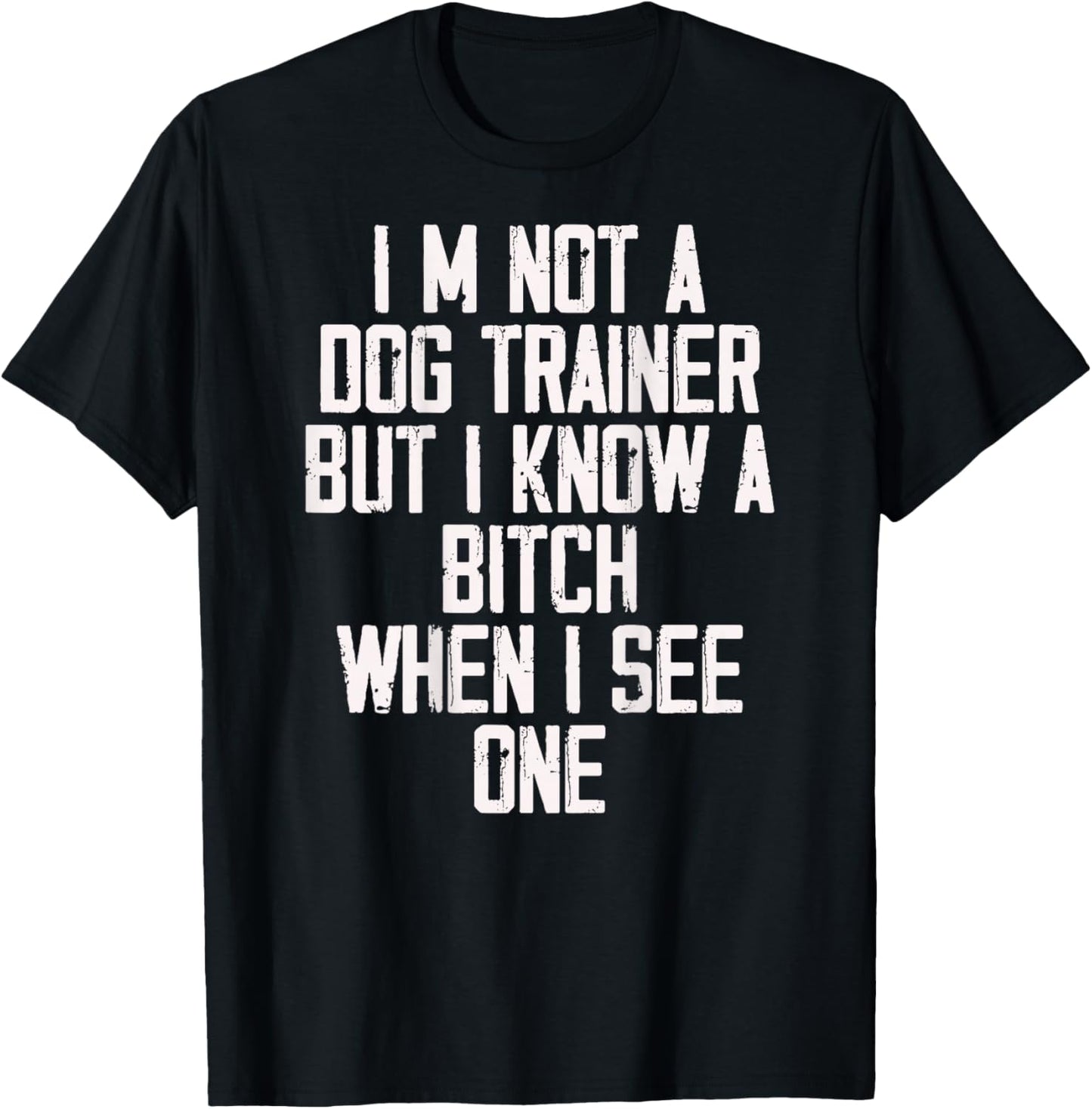 I'm Not A Dog Trainer But I Know A Bitch When I See One T-Shirt - T-Shirt | Black