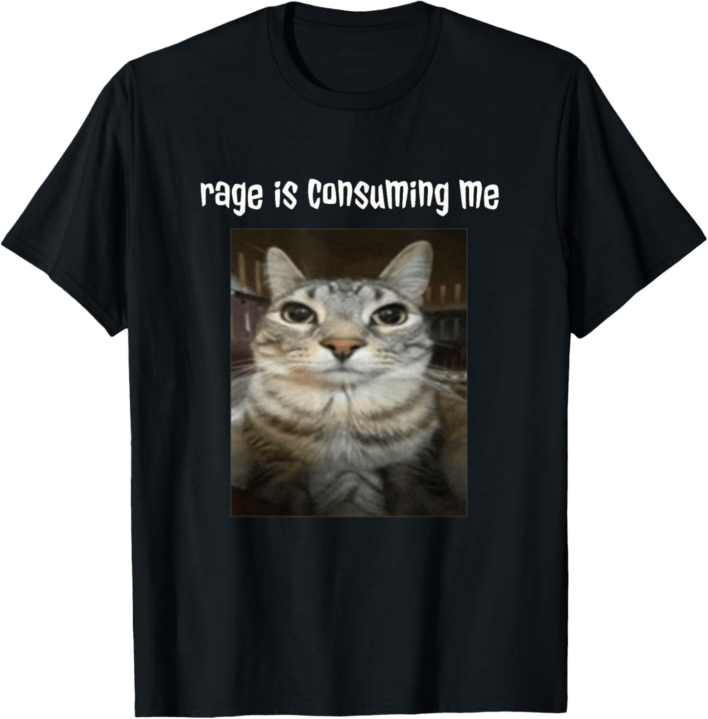 Silly Staring Cat Meme Rage Is Consuming Me T-Shirt - T-Shirt | Black