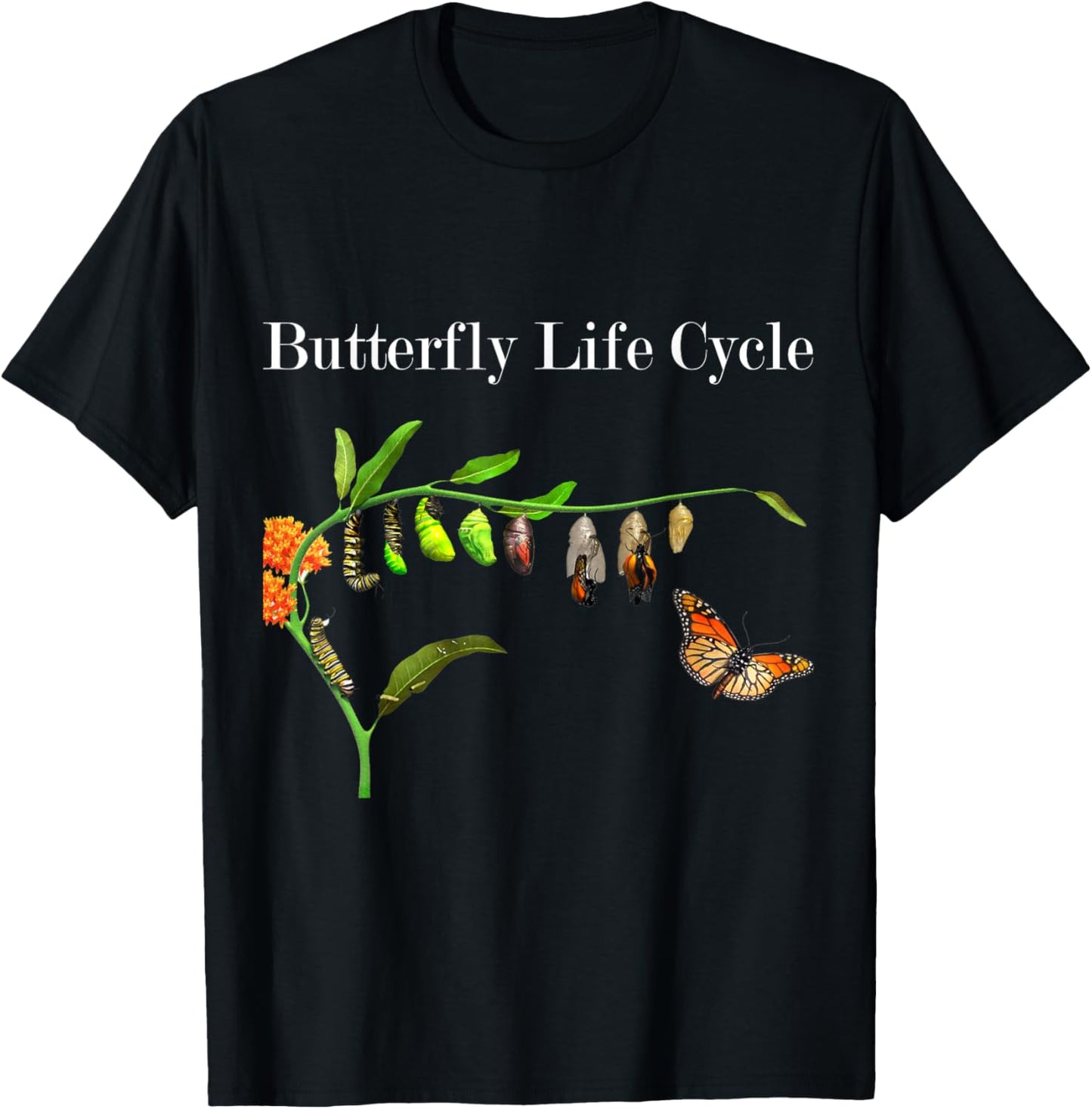 Butterfly Life Cycle Butterflies Natural Sciences Lover T-Shirt - T-Shirt | Black