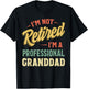 I'm Not Retired I'm A Professional Granddad T-Shirt - T-Shirt | Black