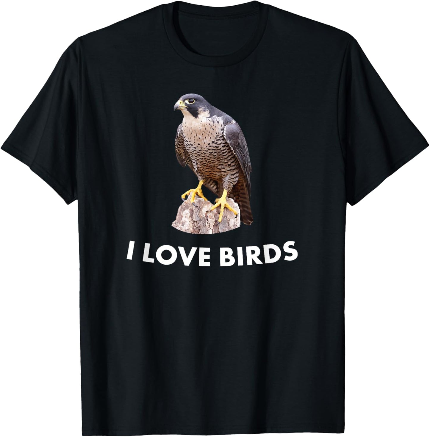 Peregrine Falcon Bird Birding Gift T-Shirt - T-Shirt | Black