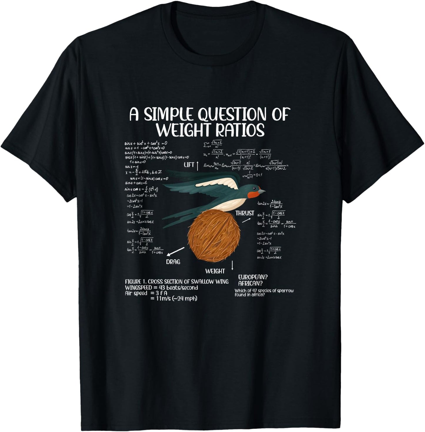 A Simple Question of Weight Ratios Math Teacher T-Shirt - T-Shirt | Black