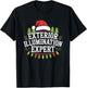 Siouxland Styles Adult Festive Modern Humor Exterior Illumination Expert Black Letter Print T-Shirt - T-Shirt | Black
