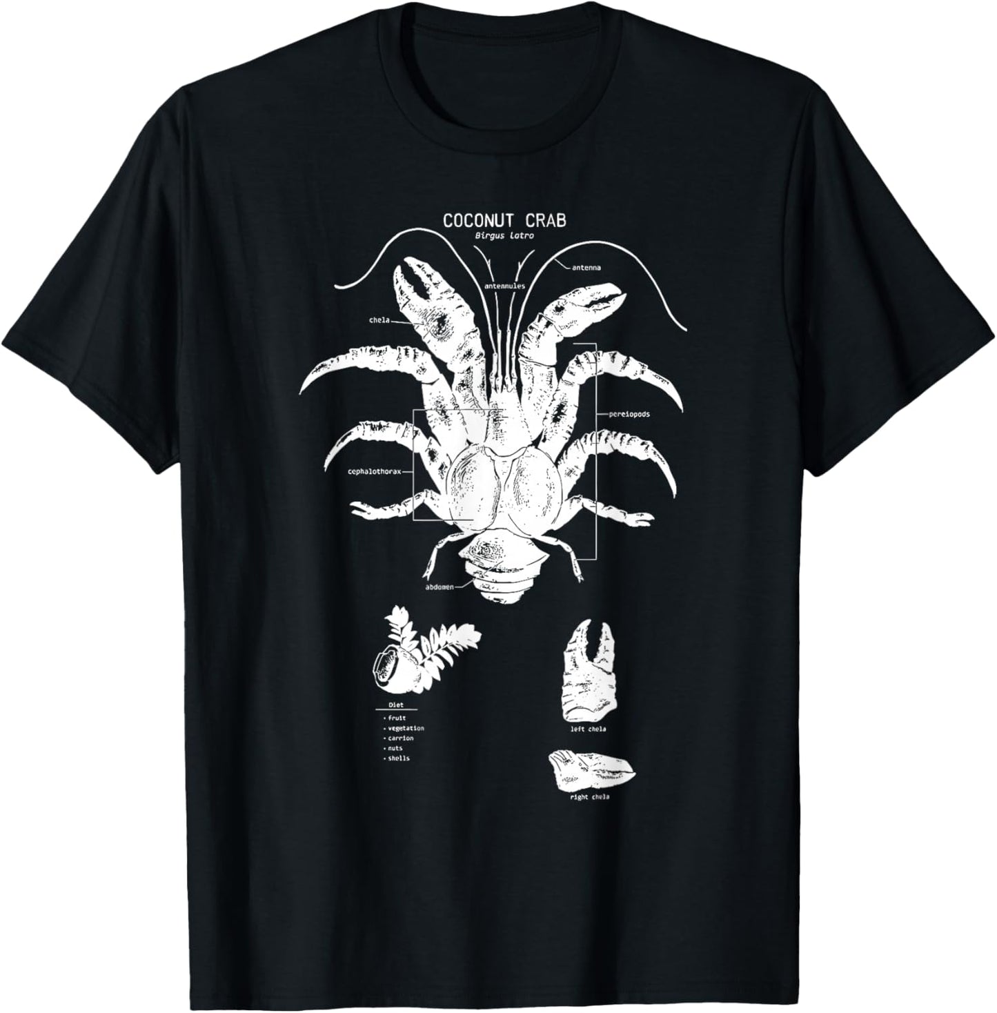Coconut Crab Anatomy Marine Biology Cute Sea Animal Ocean T-Shirt - T-Shirt | Black