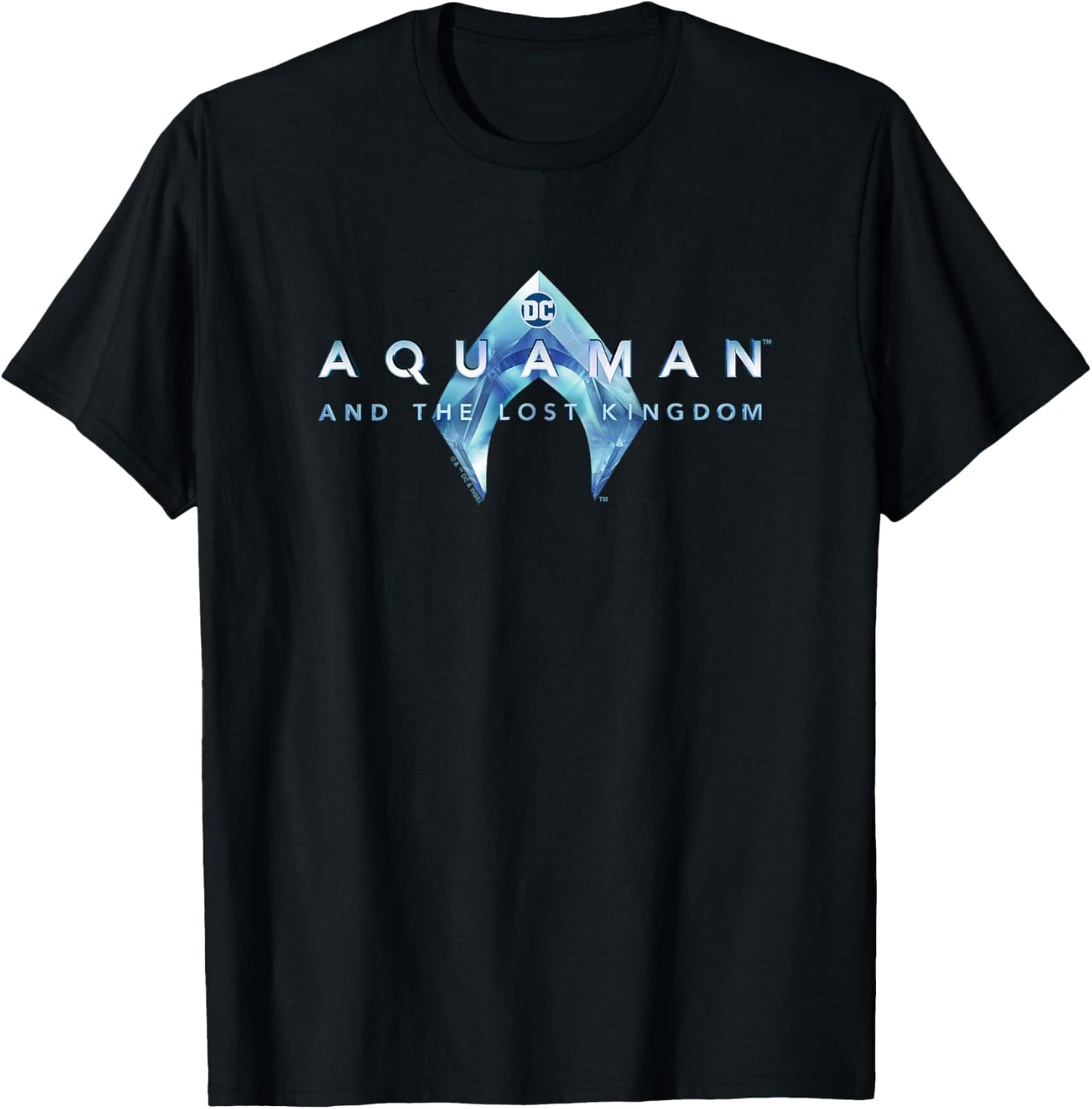 Aquaman Kids' Black with Aquaman and the Lost Kingdom Logo T-Shirt - T-Shirt | Black