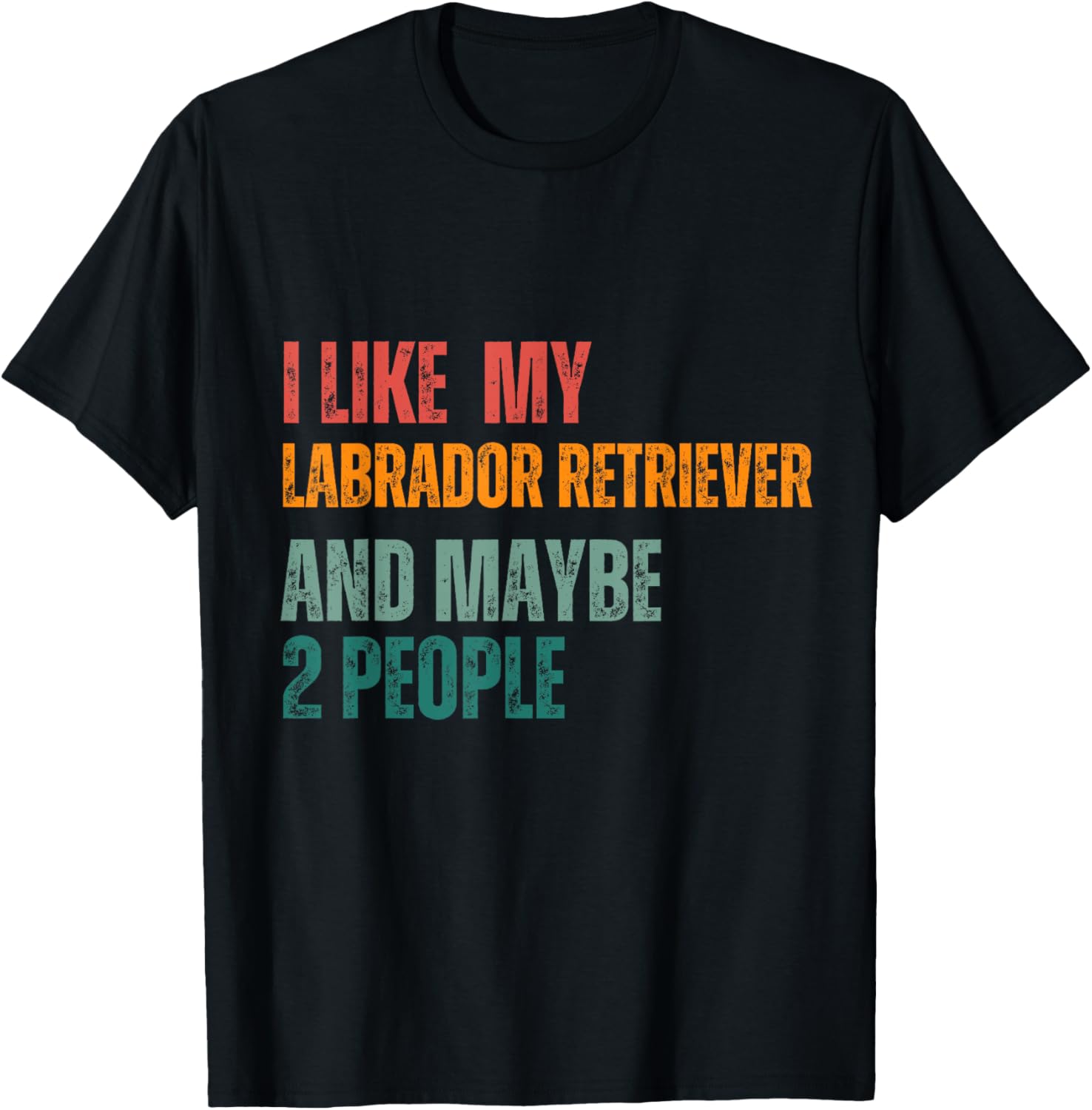 I Like my Labrador retriever & Maybe 2 People Dogs Lover T-Shirt - T-Shirt | Black