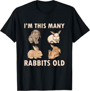 4 Year Old Bunny Rabbits Old 4th Birthday T-Shirt - T-Shirt | Black