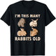 4 Year Old Bunny Rabbits Old 4th Birthday T-Shirt - T-Shirt | Black