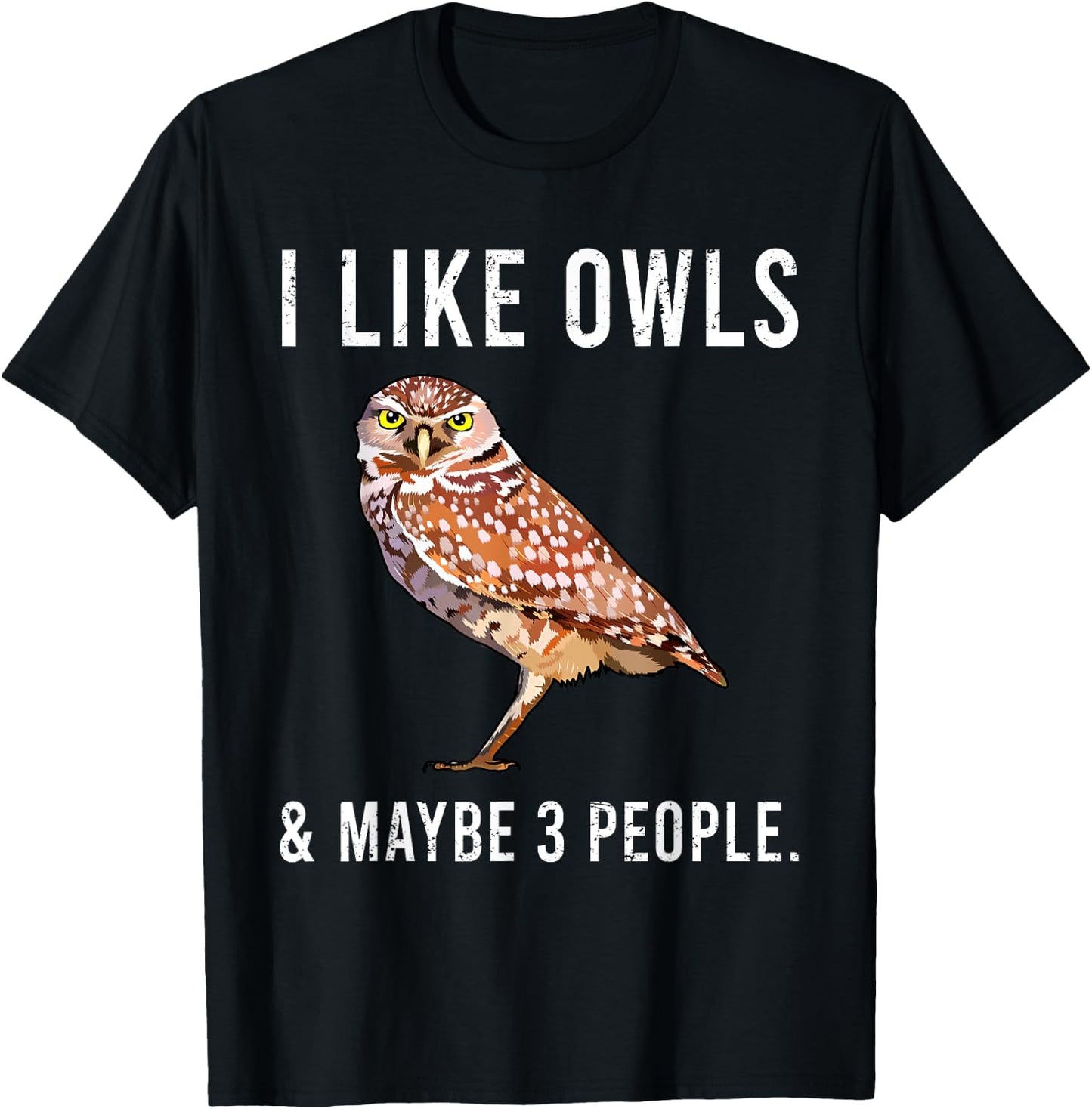 Funny I Like Burrowing Owls And Maybe 3 People T-Shirt - T-Shirt | Black