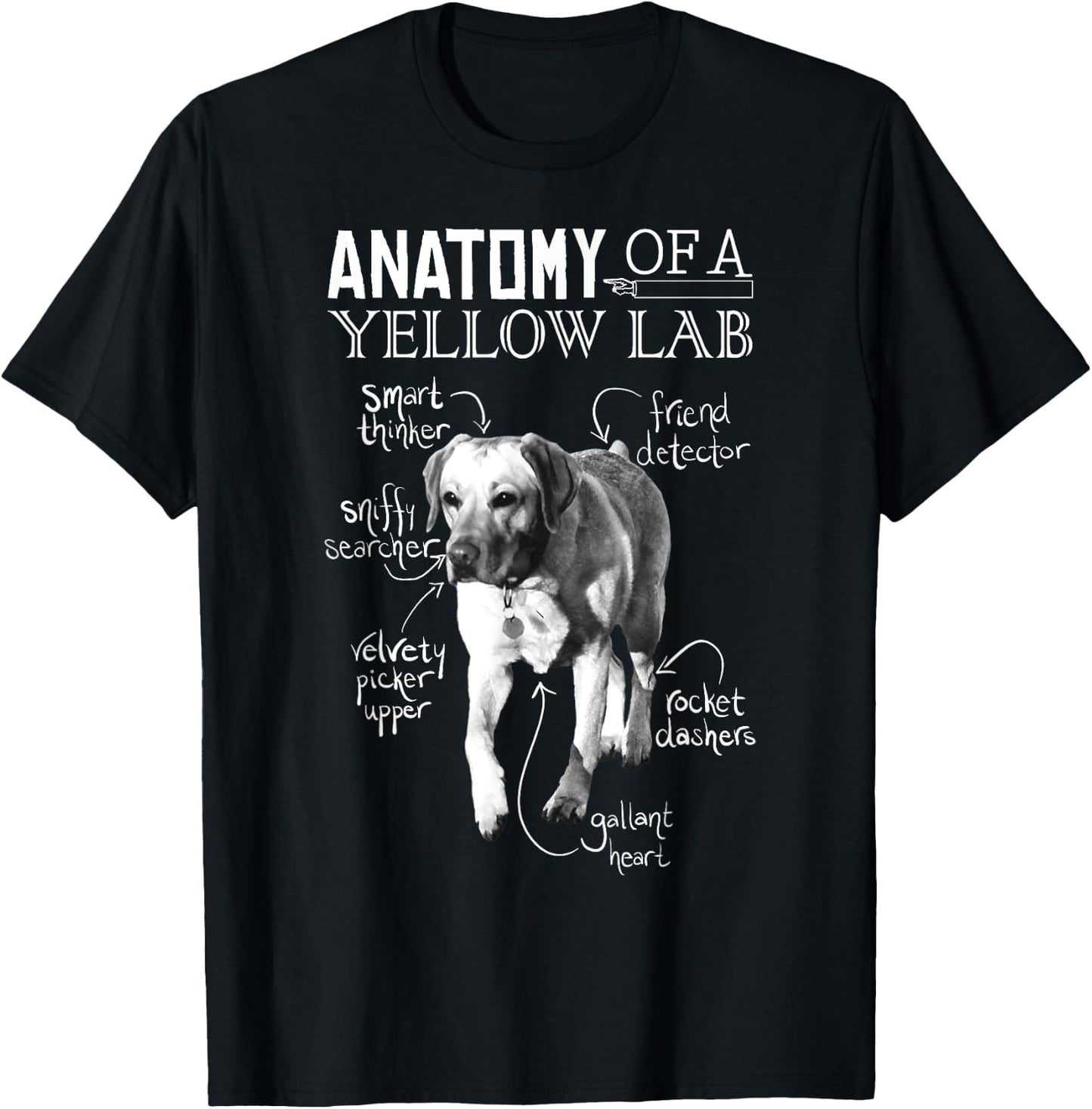 Anatomy of a Yellow Lab Chalkboard, Labrador Retriever Lover T-Shirt - T-Shirt | Black