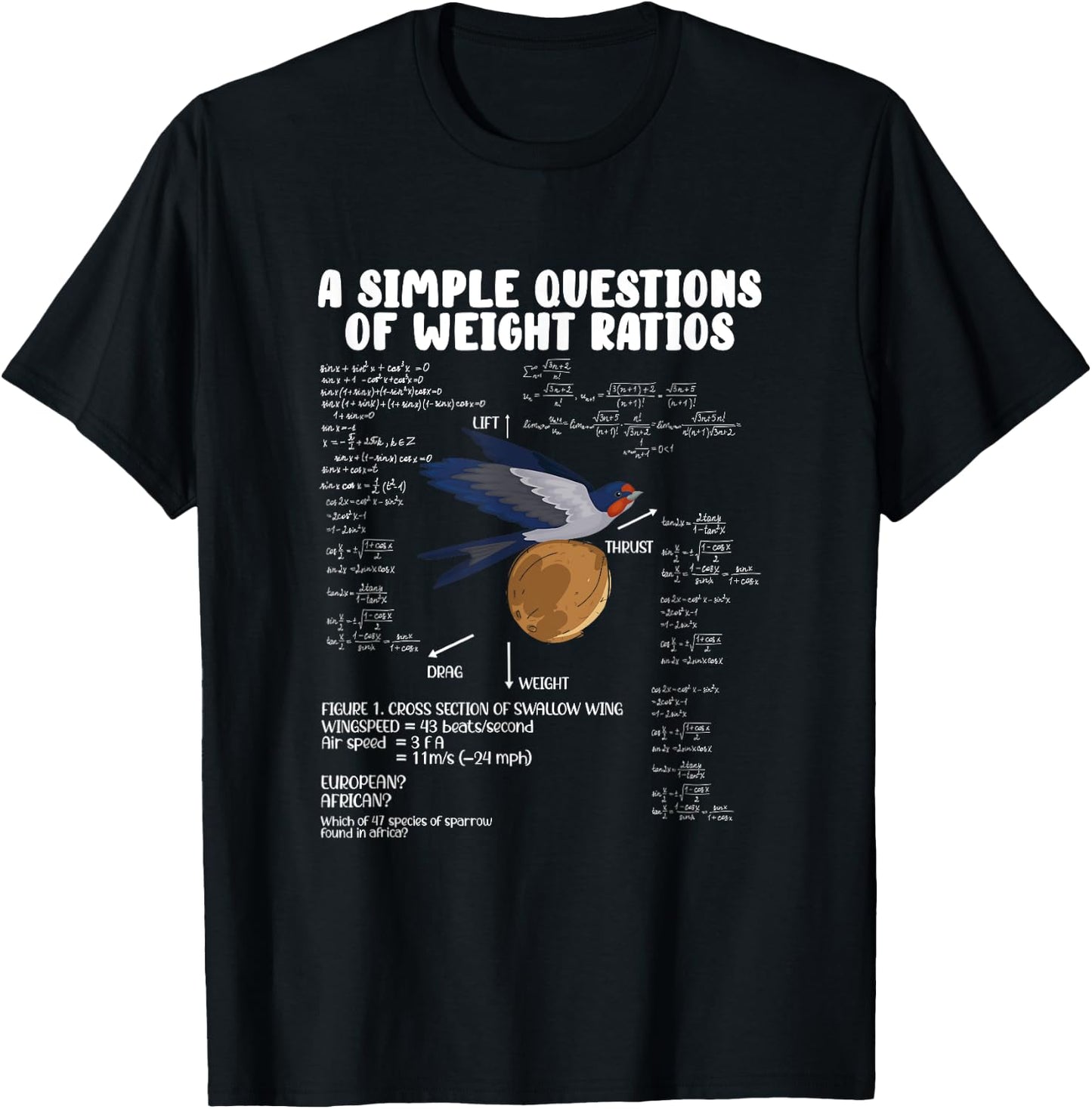 A Simple Question of Weight Ratios Math Teacher Men Women T-Shirt - T-Shirt | Black