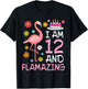 Flamingo And Flowers Birthday Cake I Am 12 Years & Flamazing T-Shirt - T-Shirt | Black
