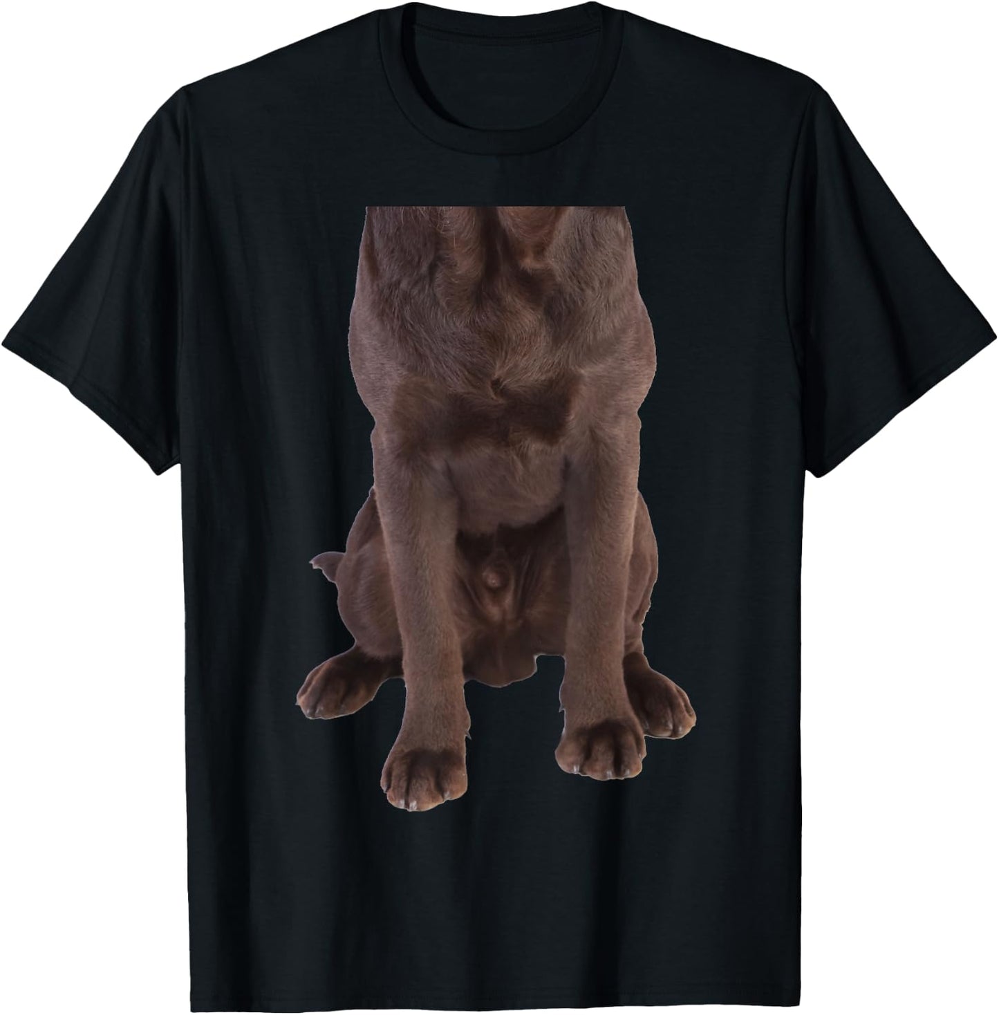Brown Labrador Retriever Chocolate Lab Funny Dog Costume Women Girls Kids T-Shirt - T-Shirt | Black
