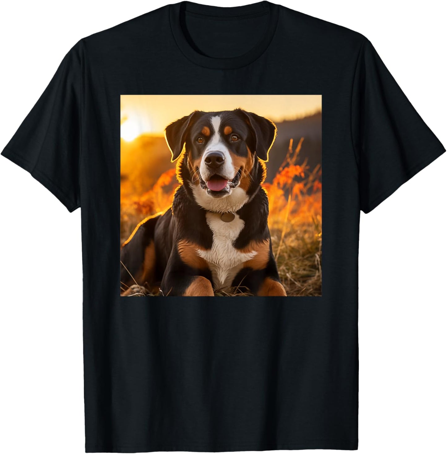 Greater Swiss Mountain Dog Sitting In The Sunset Photography T-Shirt - T-Shirt | Black