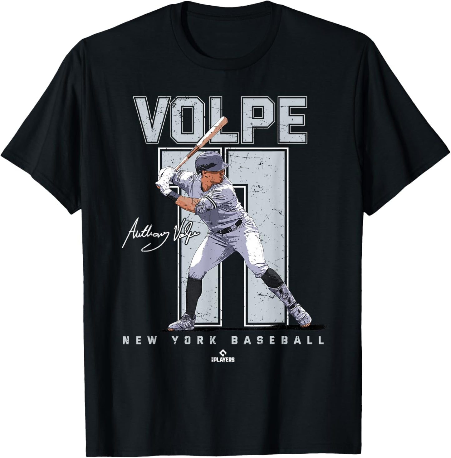 BallPark MVP Adult Black Baseball with Anthony Volpe Portrait, Small T-Shirt - T-Shirt | Black