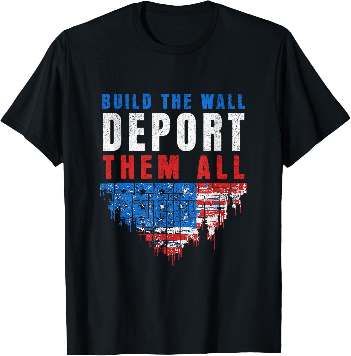 Trump Won Build The Wall Deport Them All 2024 Election T-Shirt - T-Shirt | Black