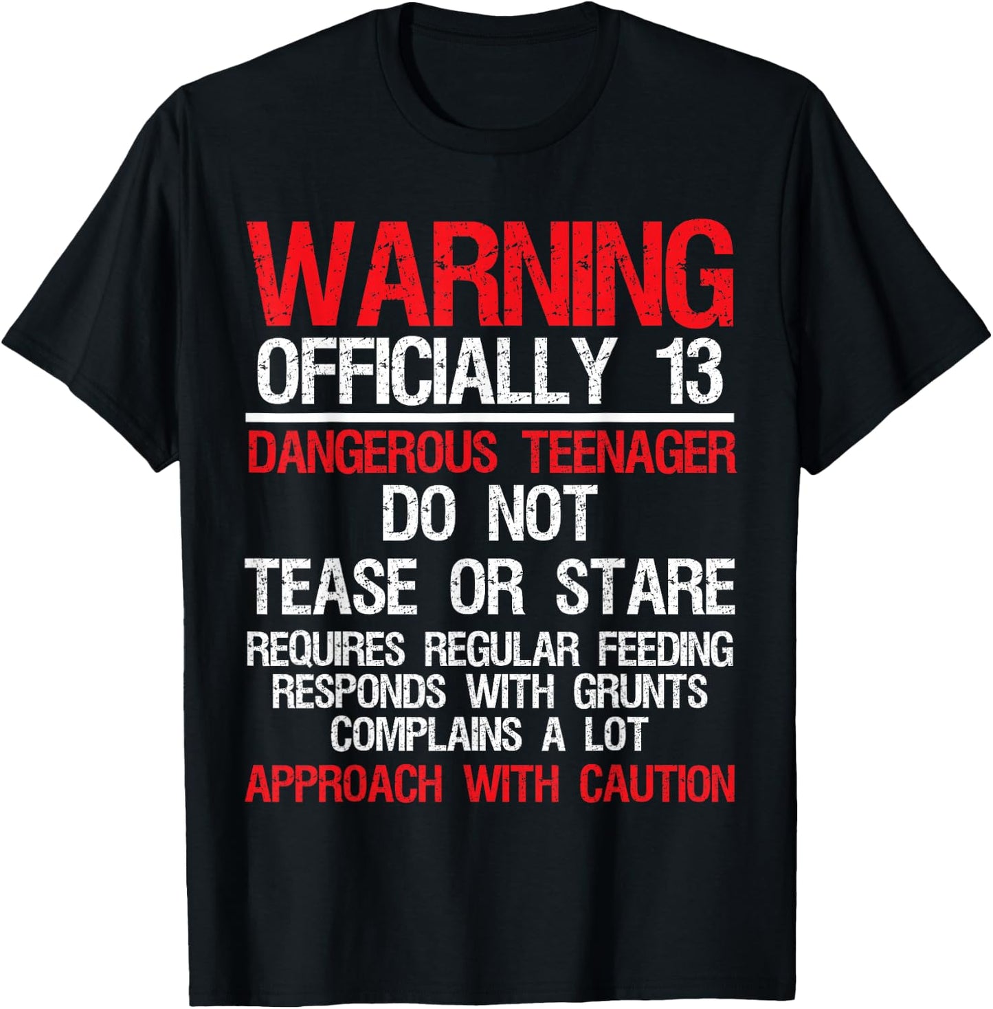 13 Years Old Warning Dangerous Teenager 13th Birthday T-Shirt - T-Shirt | Black