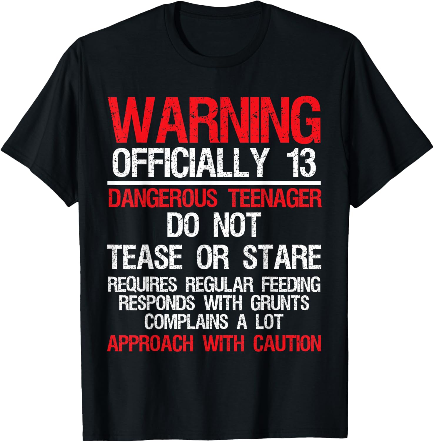 13 Years Old Warning Dangerous Teenager 13th Birthday T-Shirt - T-Shirt | Black
